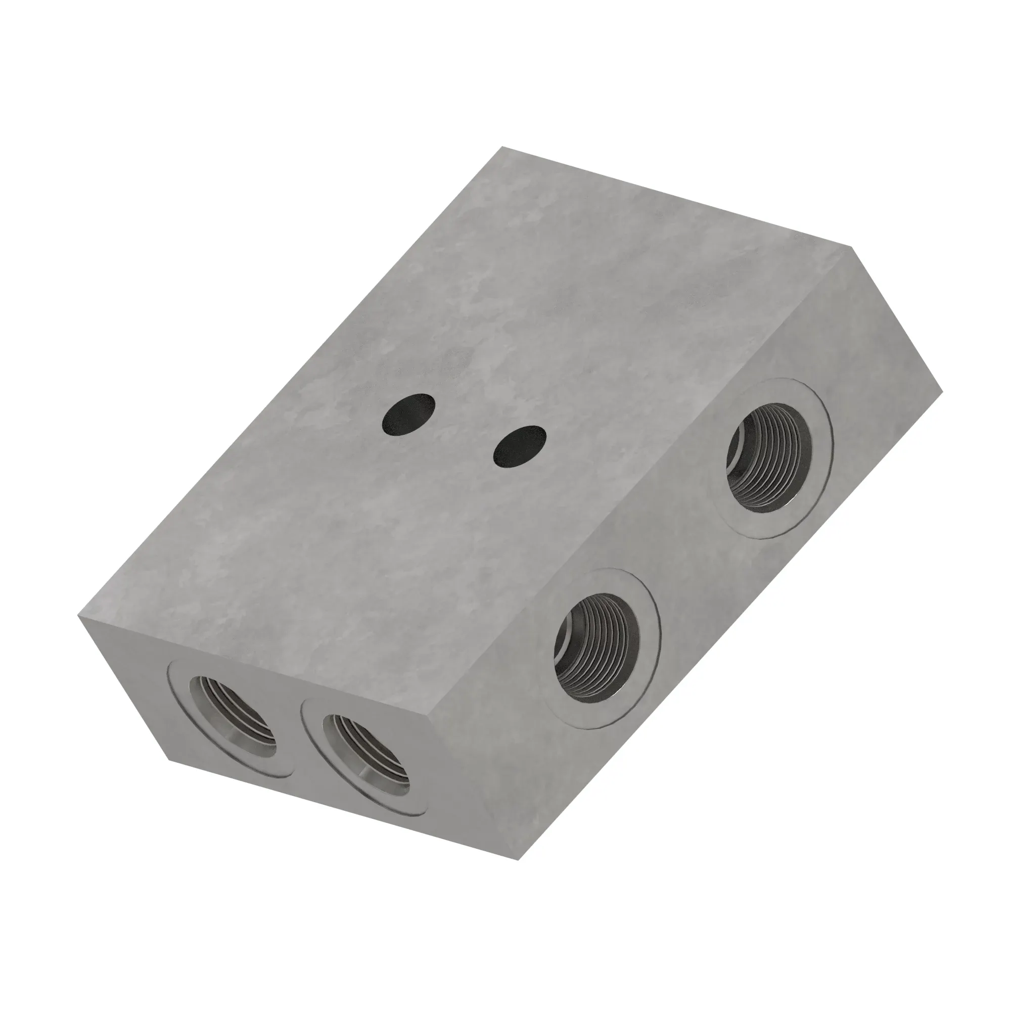 Manifold