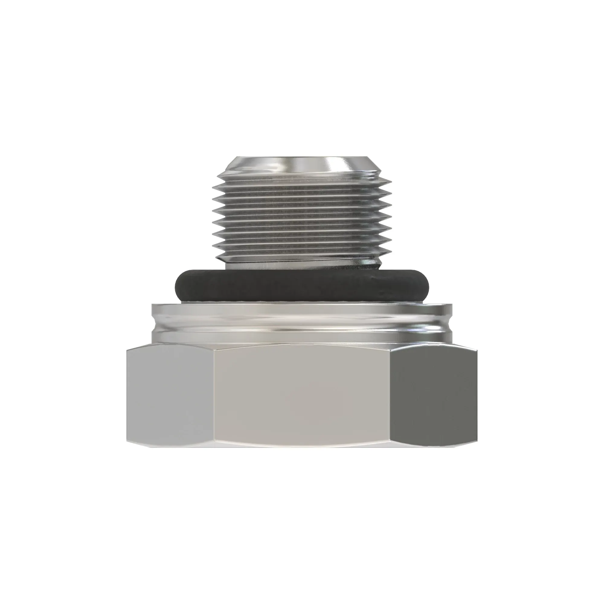 Fitting Plug