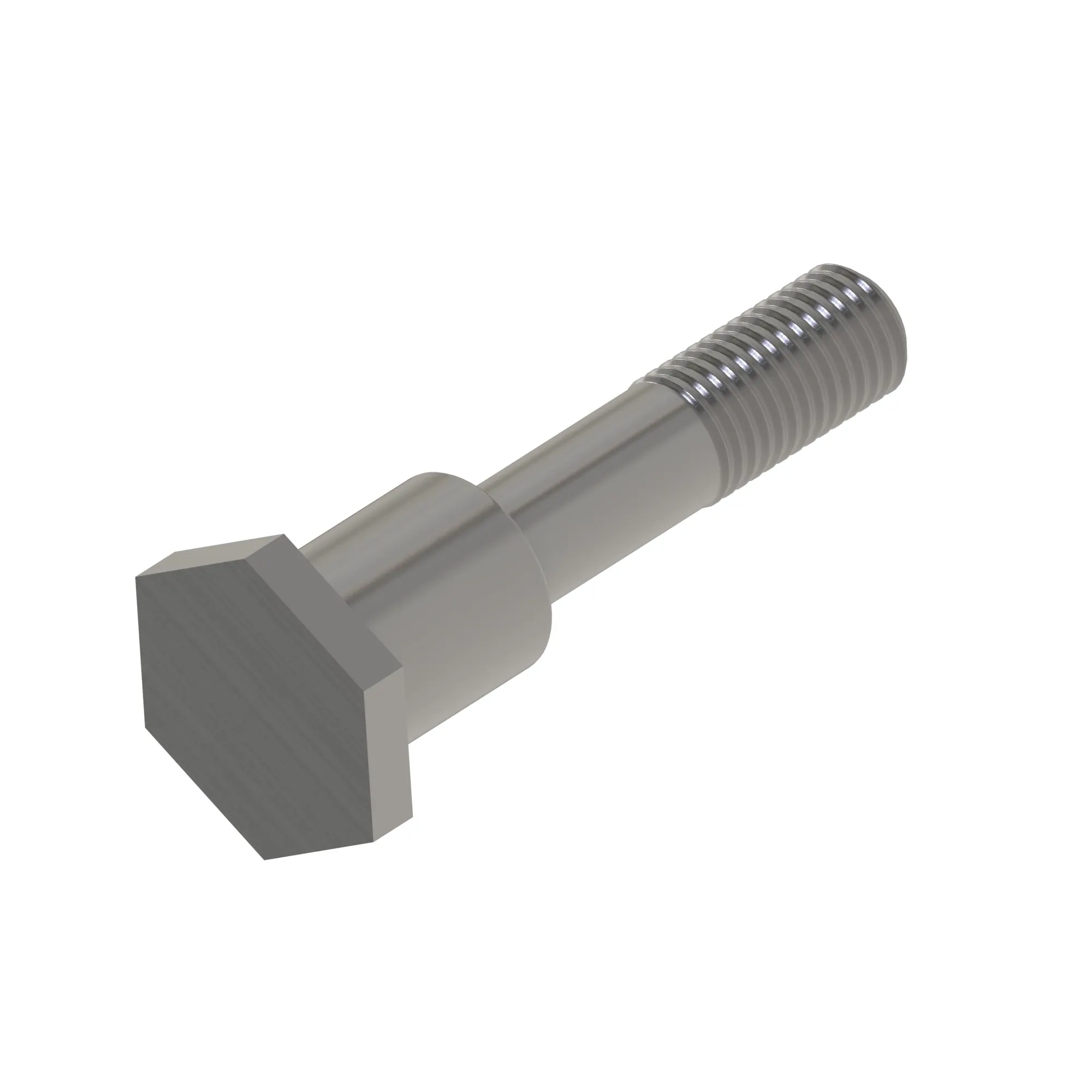 Screw