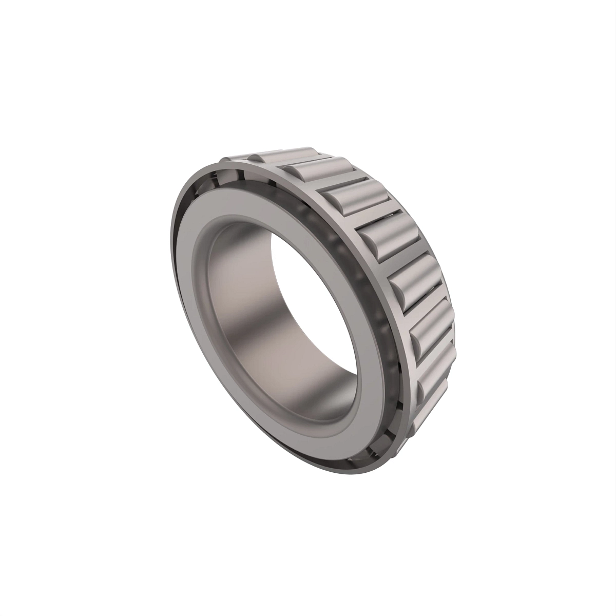 Cone-Bearing