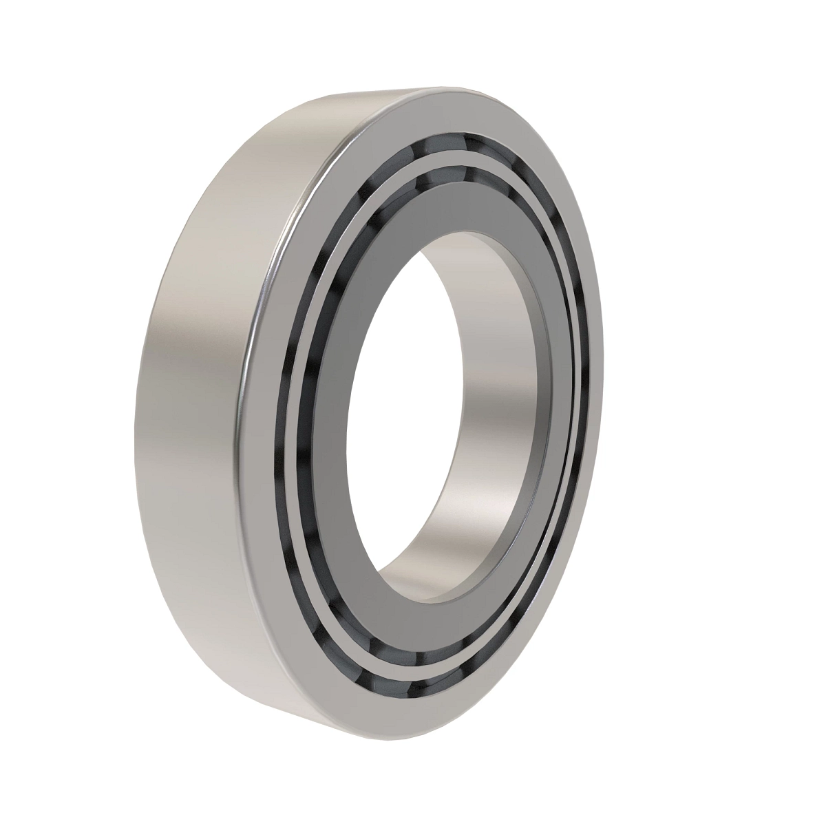 Cylindrical Roller Bearing, Caged