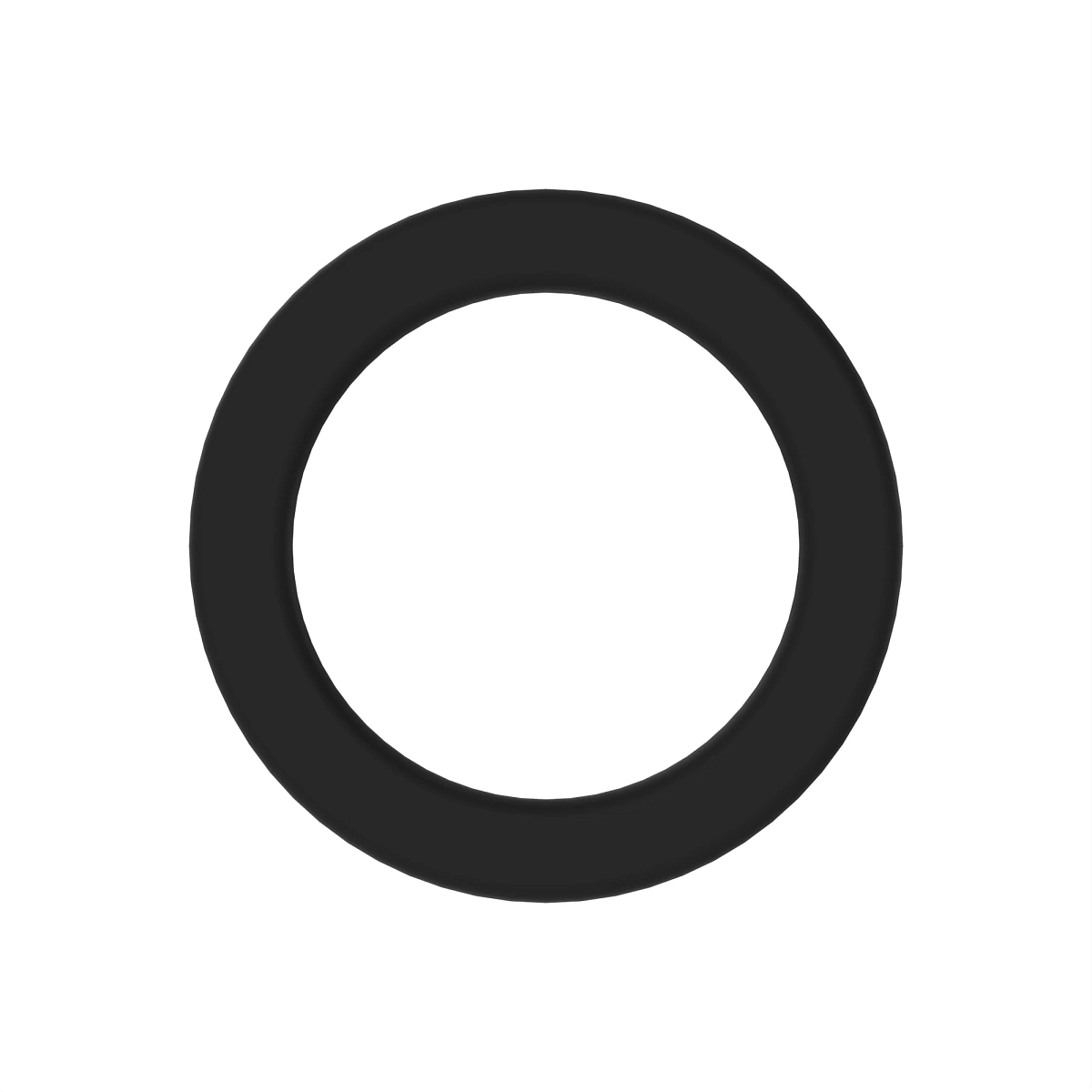 O-RING