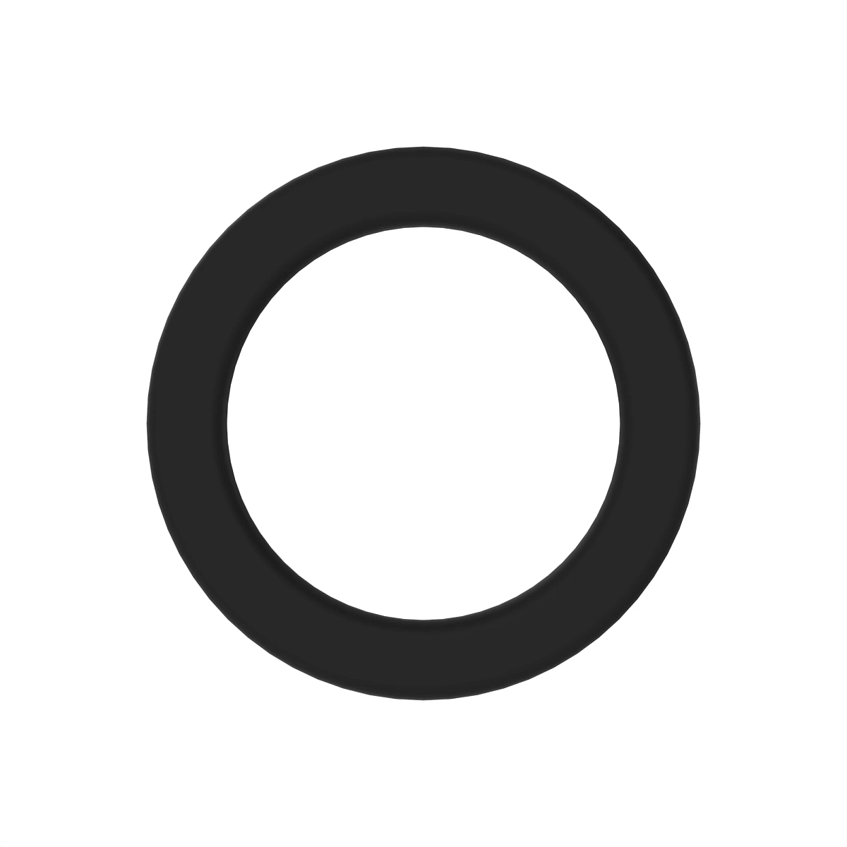 O-RING