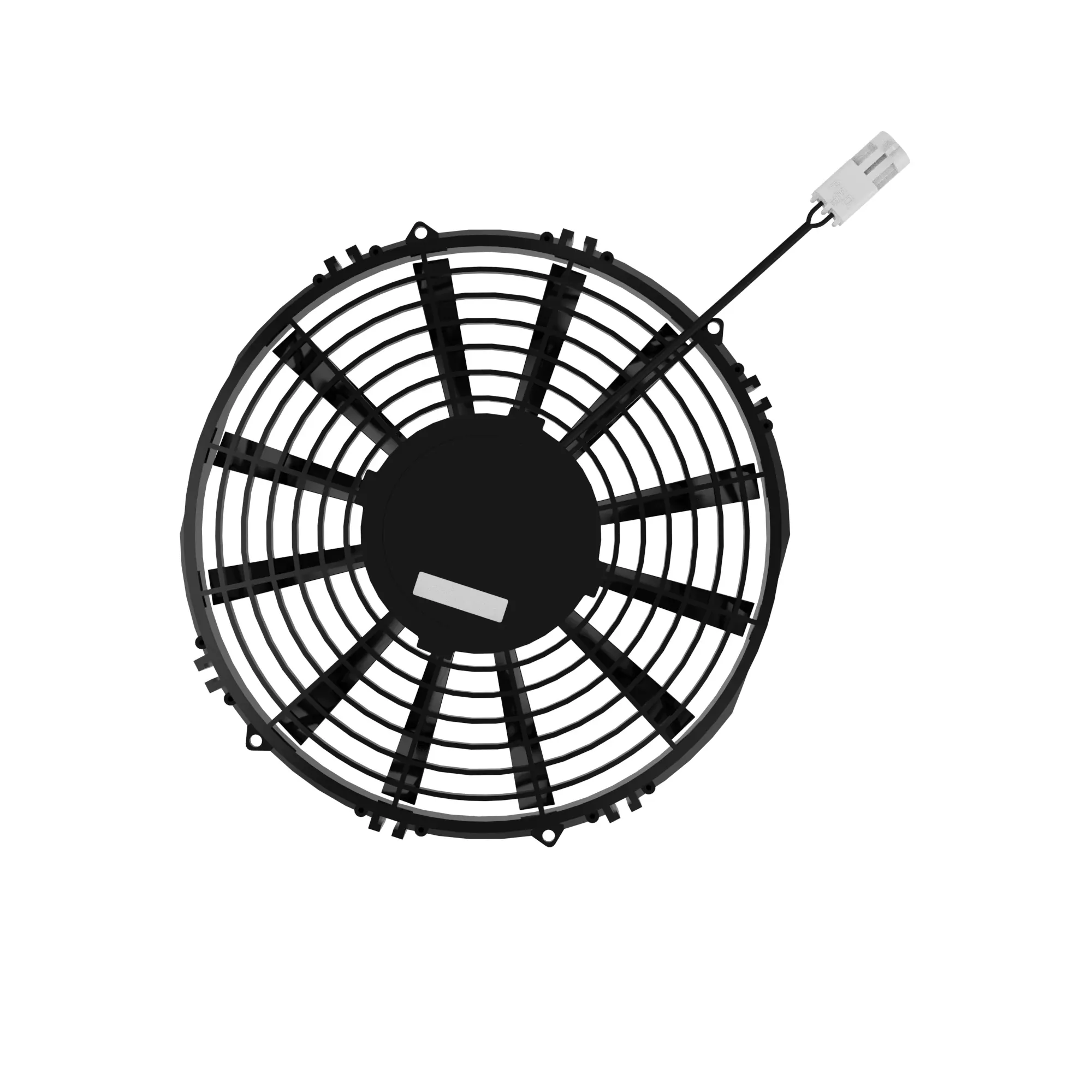 Fan