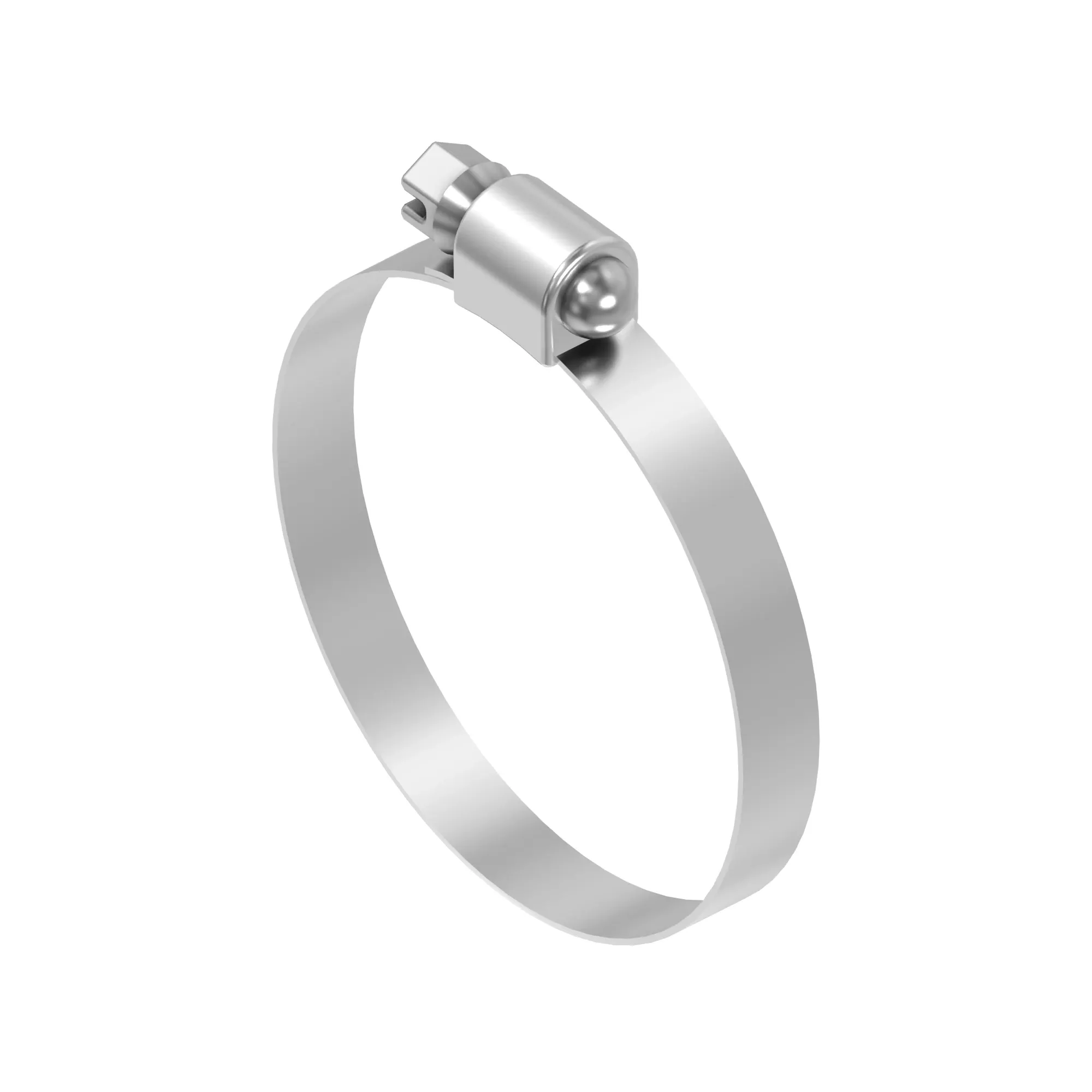 Hose Clamp