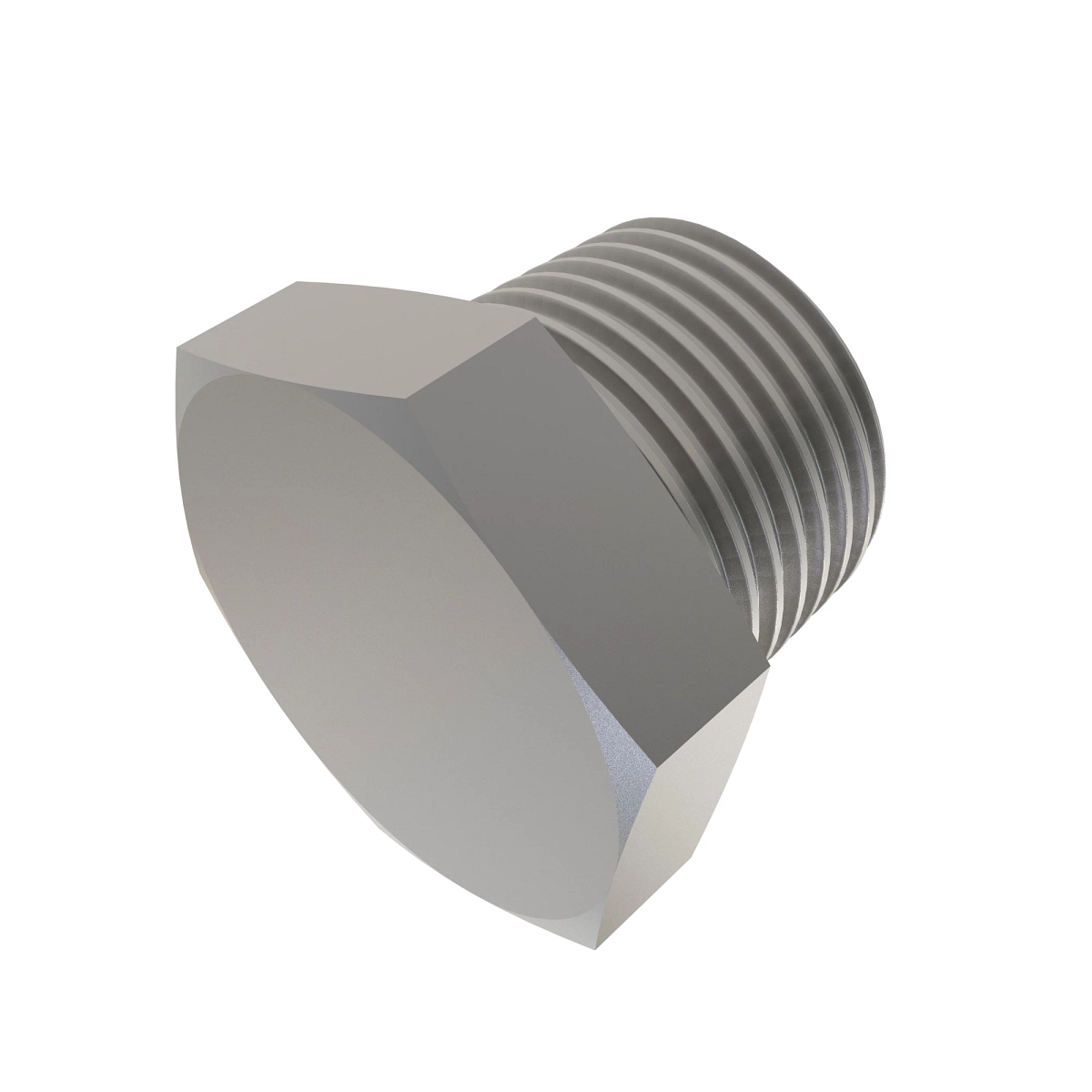 Pipe Plug