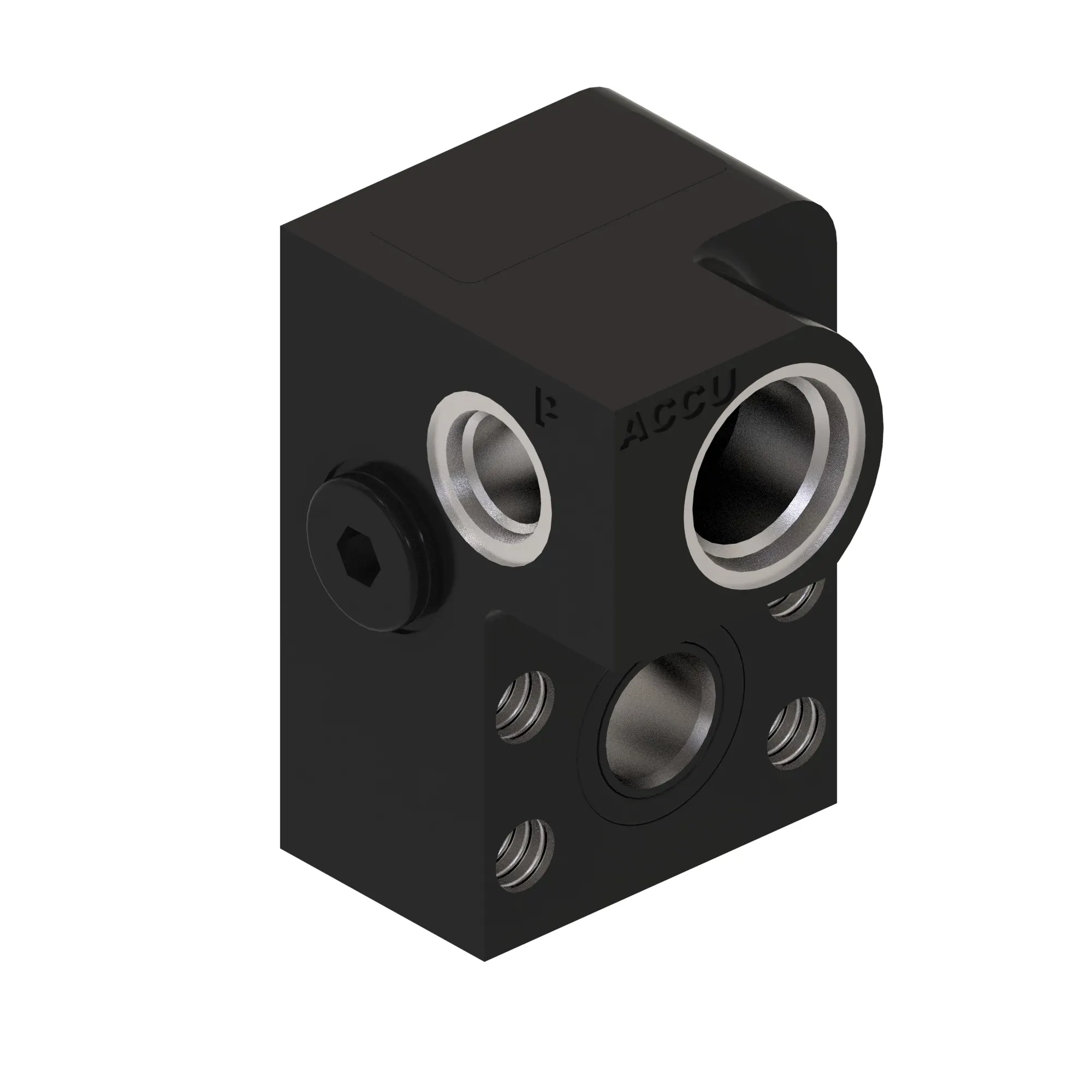 Check Valve
