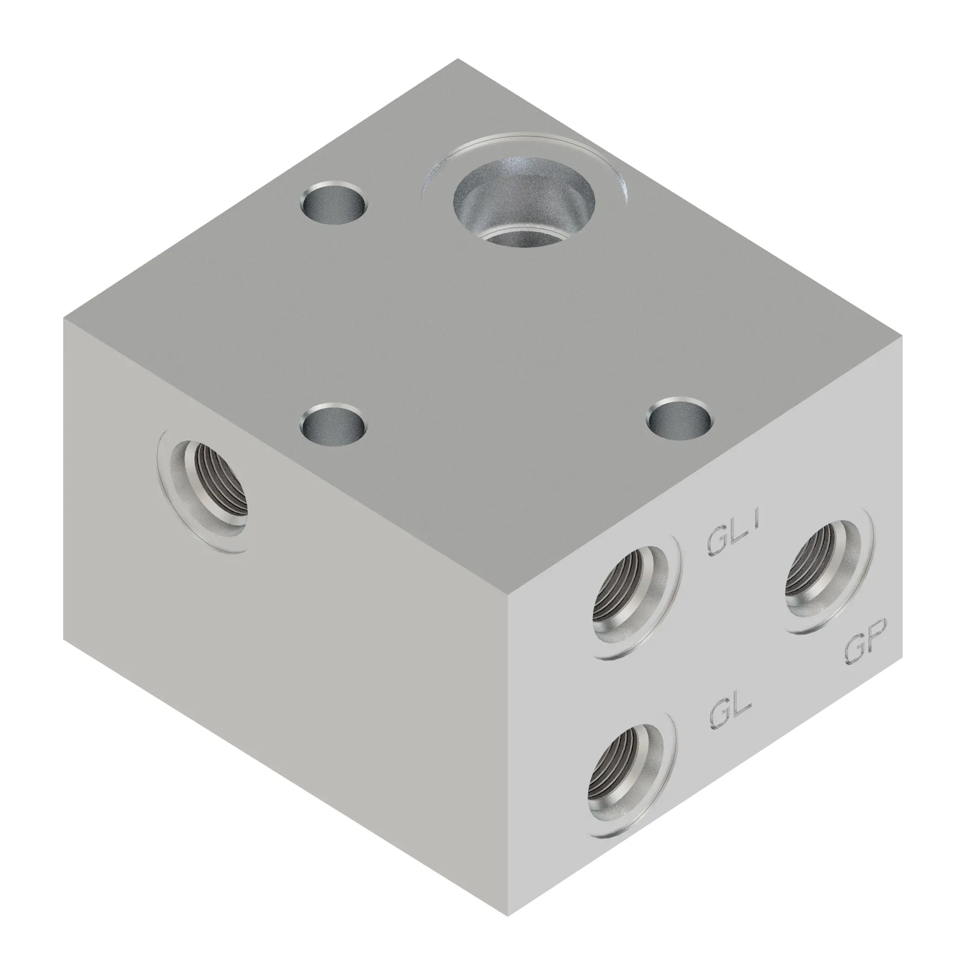 Manifold