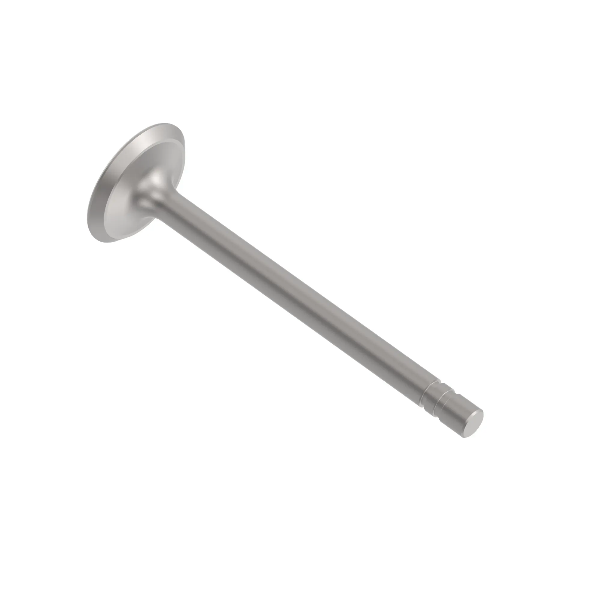 Exhaust Valve