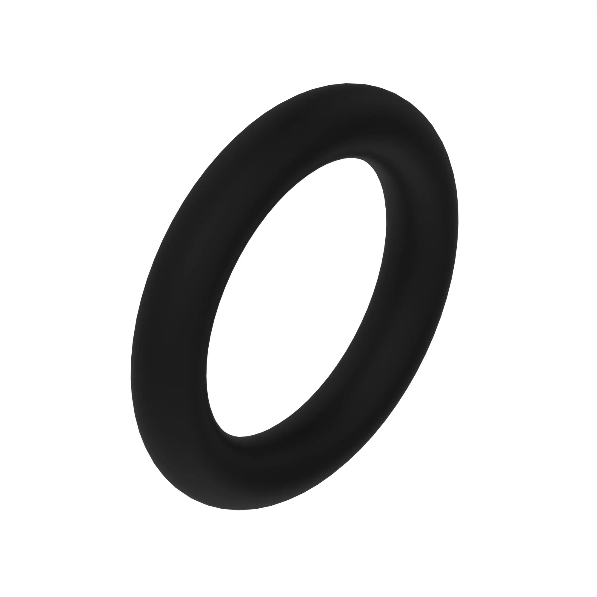 R503578: O-Ring