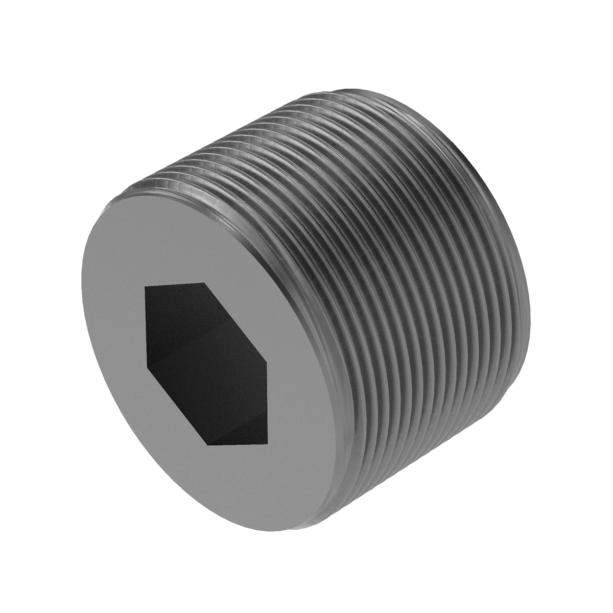 Pipe Plug, Magnetic