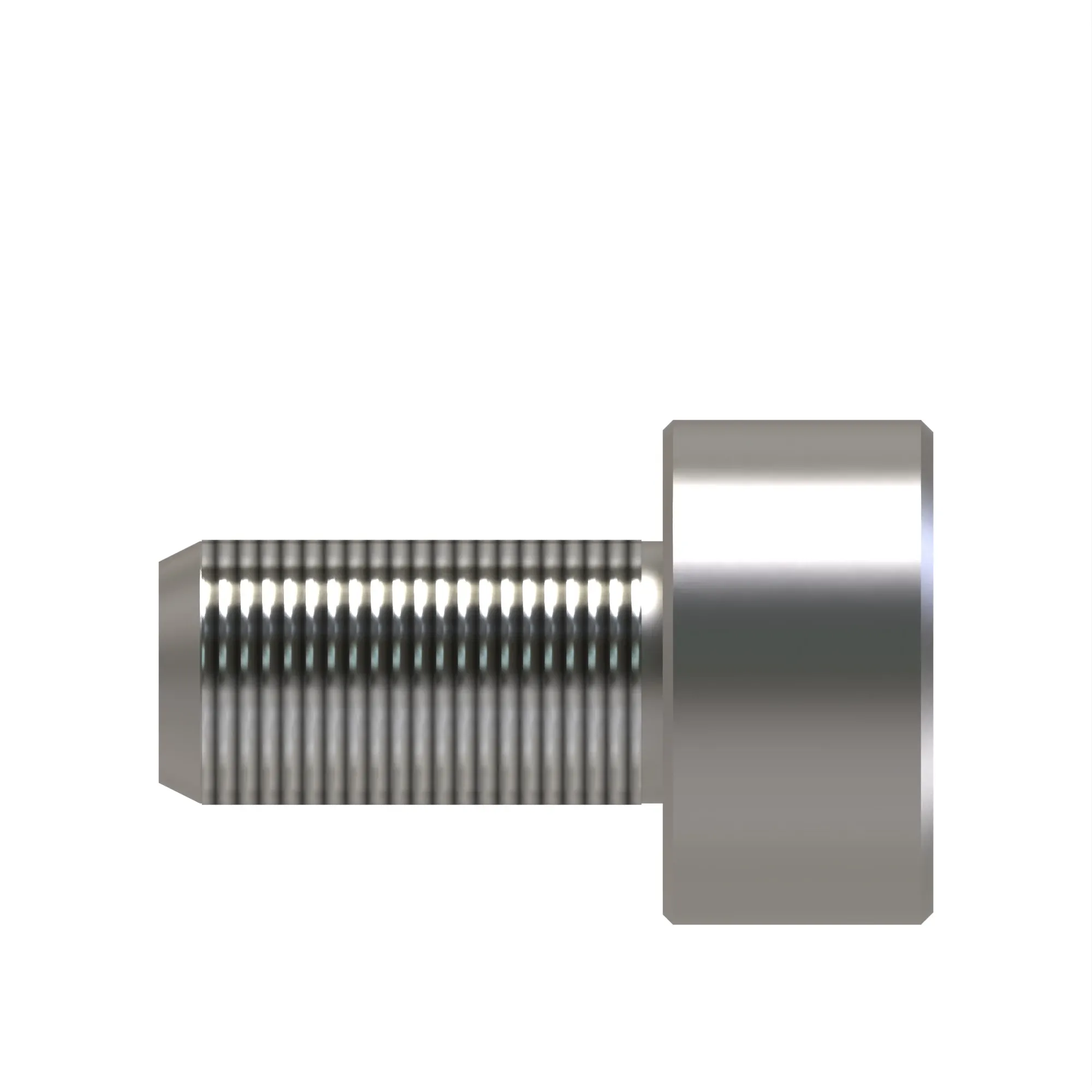 Fitting Plug