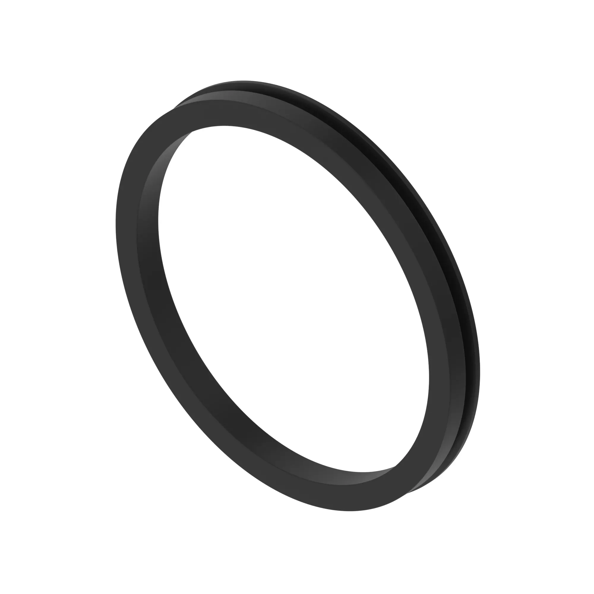 SEAL, V-RING