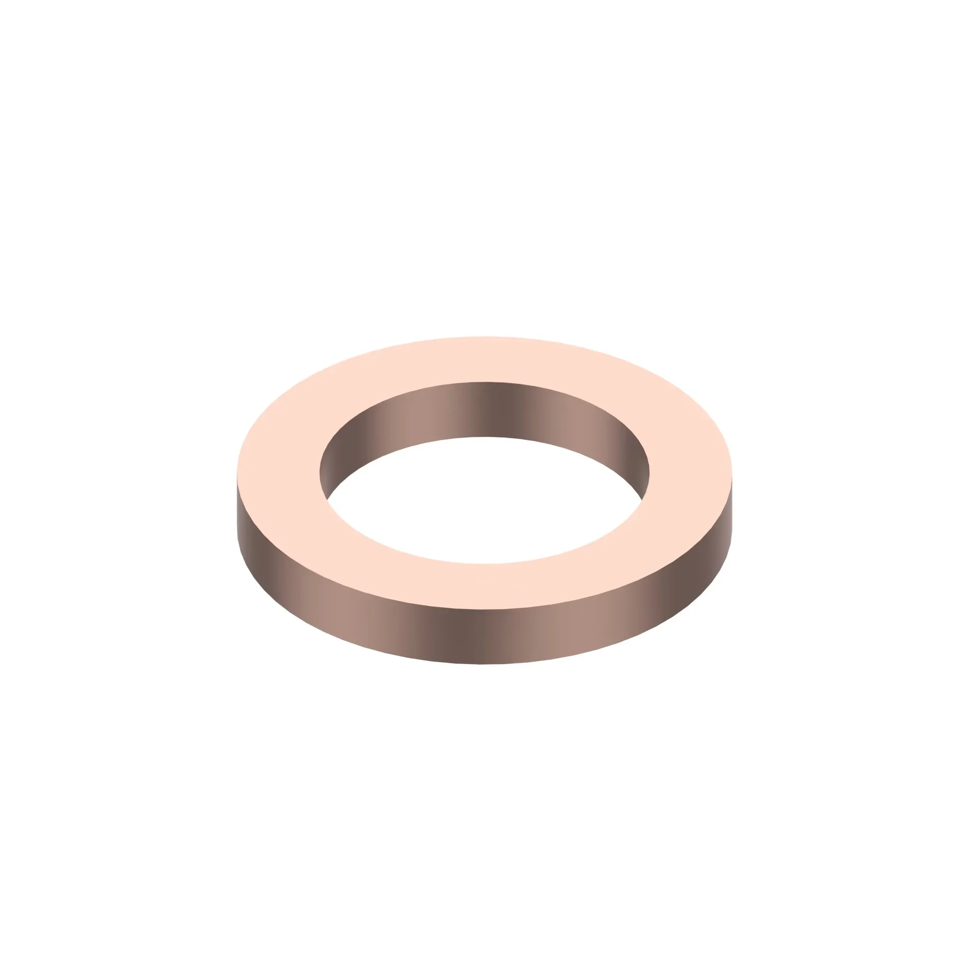 Sealing Ring