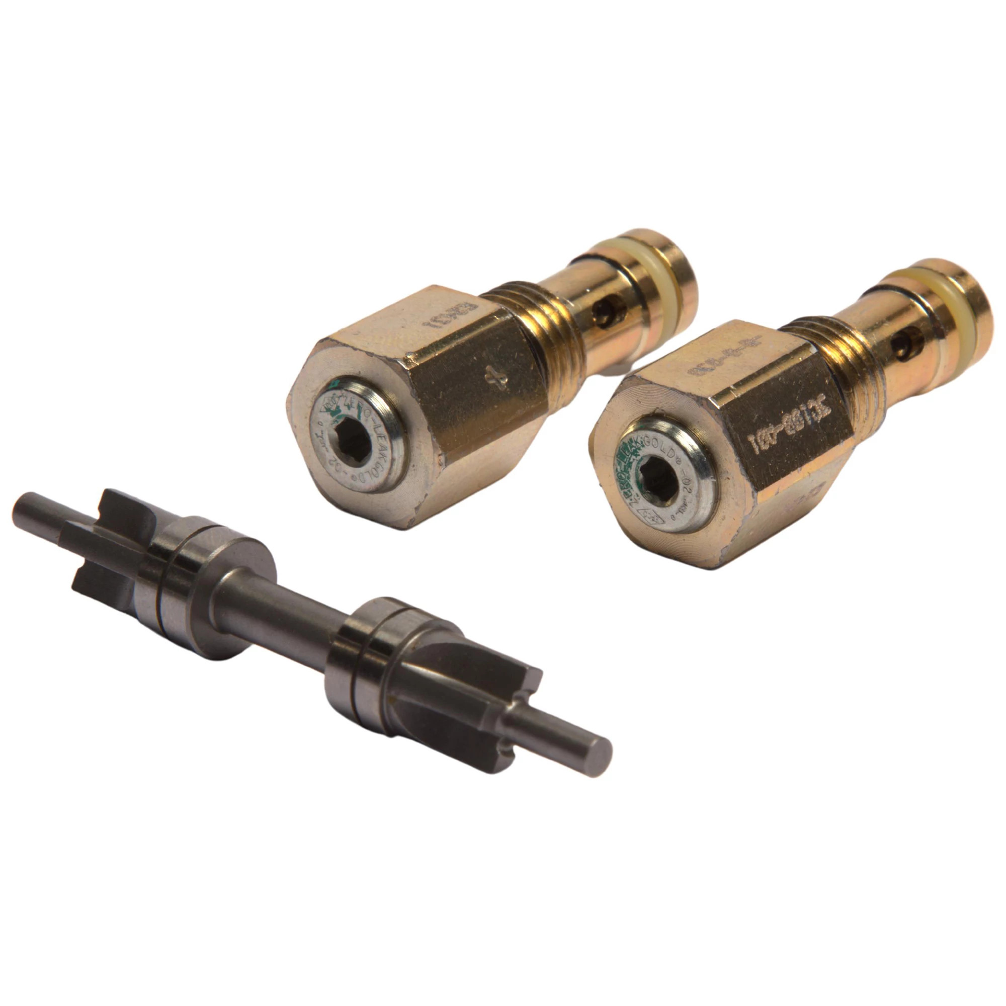 PISTON KIT, CHECK VALVES AND PISTON