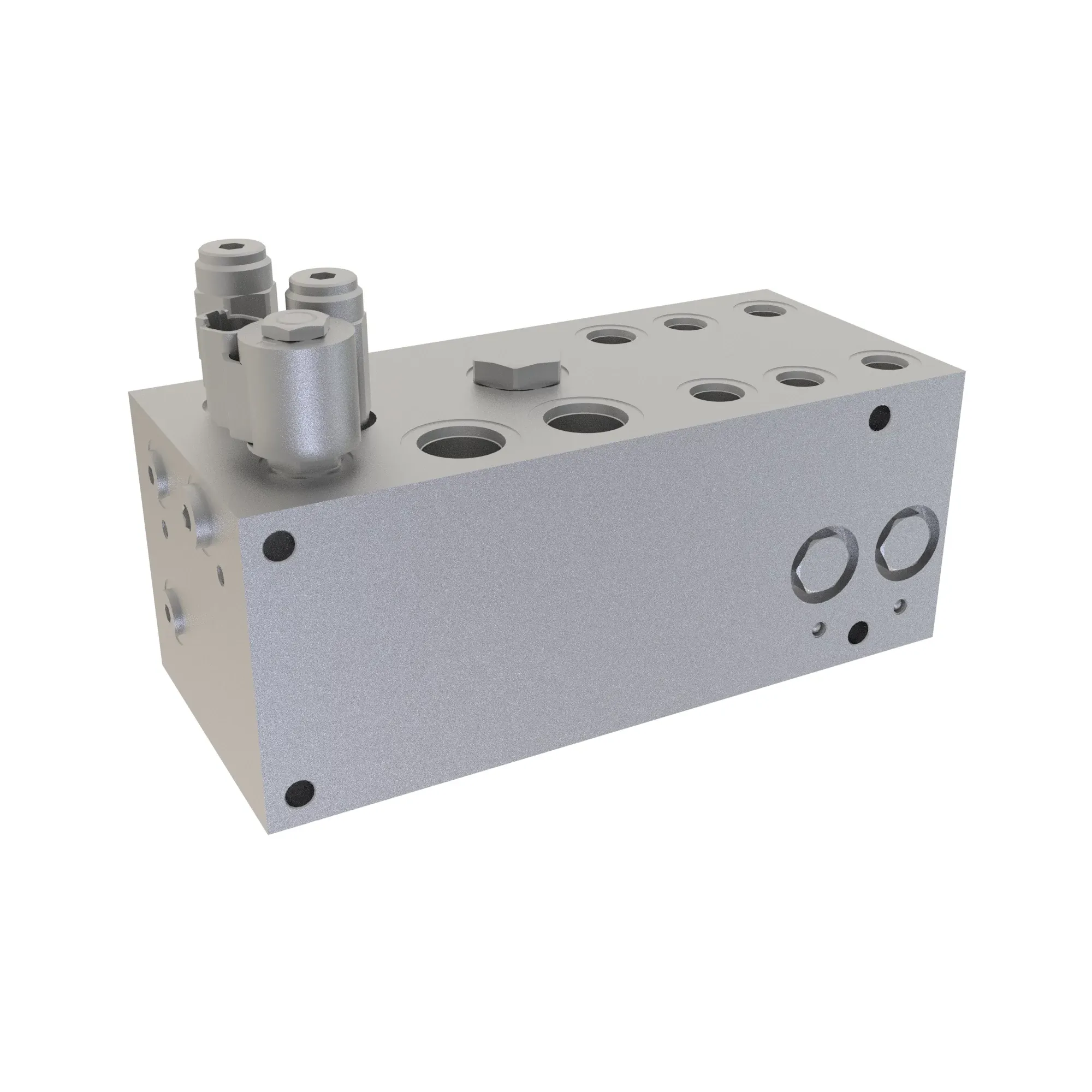 HYDRAULIC MANIFOLD 
WITH 2ND STEER OPTION