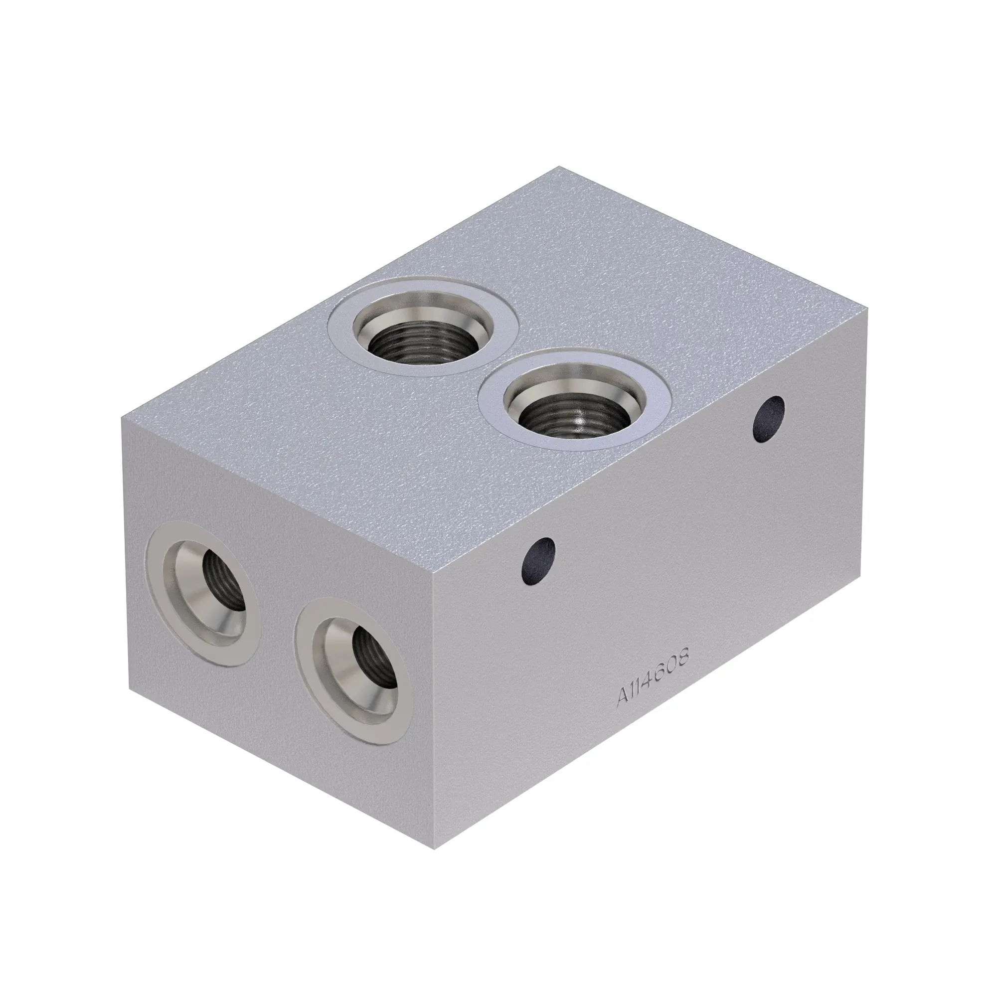 Manifold