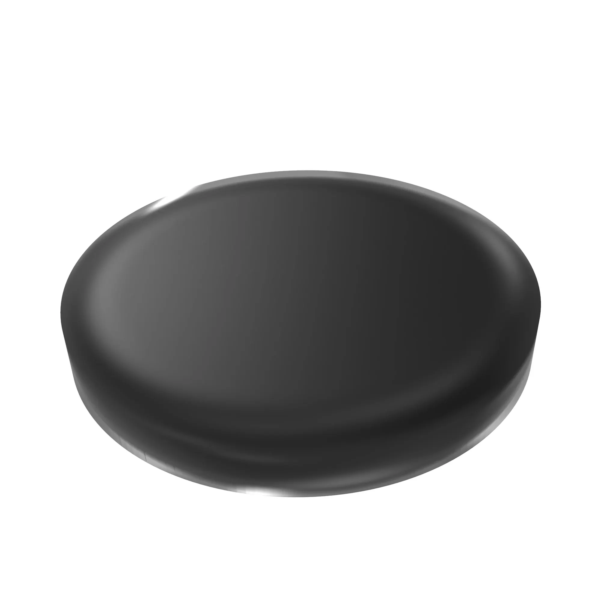 DISK, VALVE