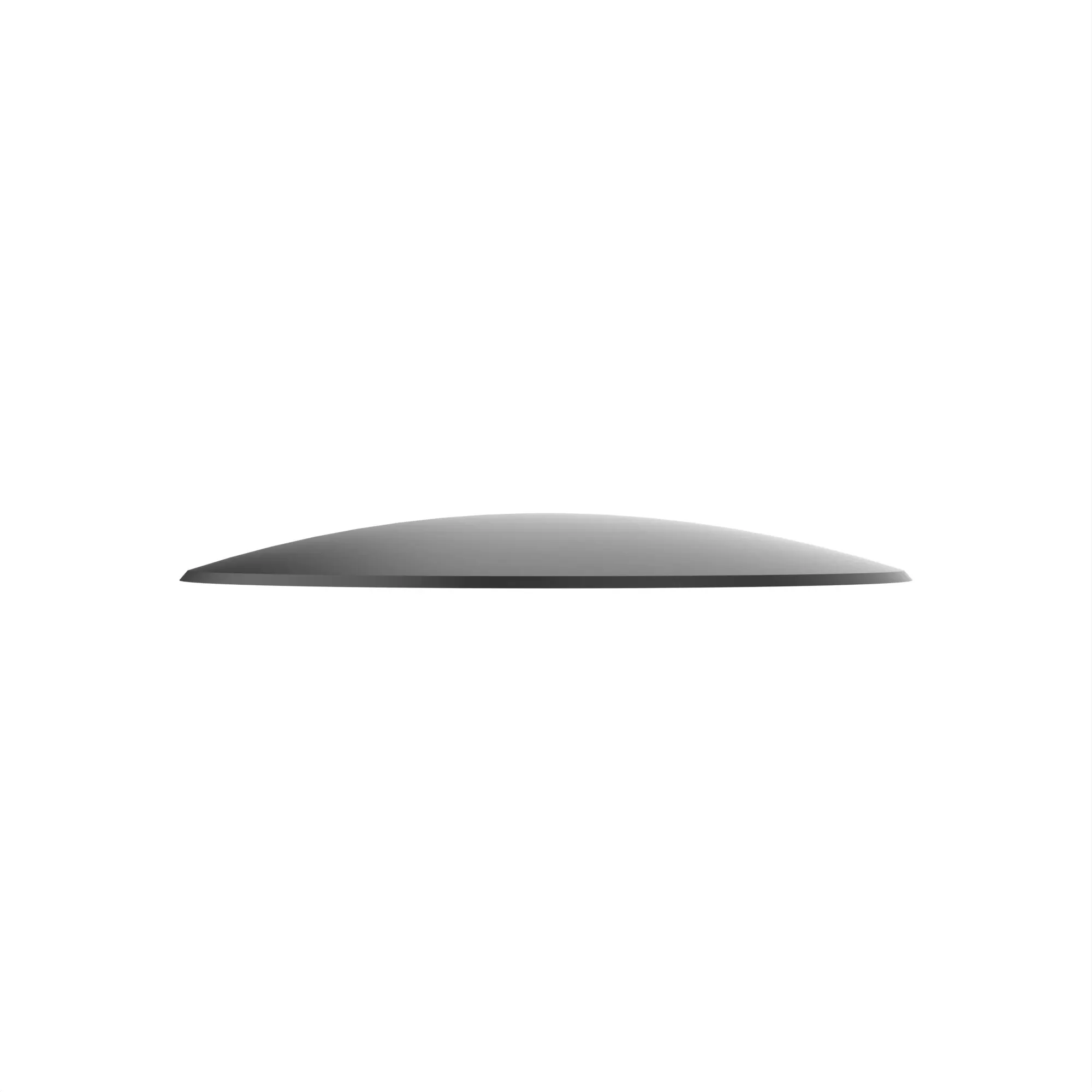 Disk