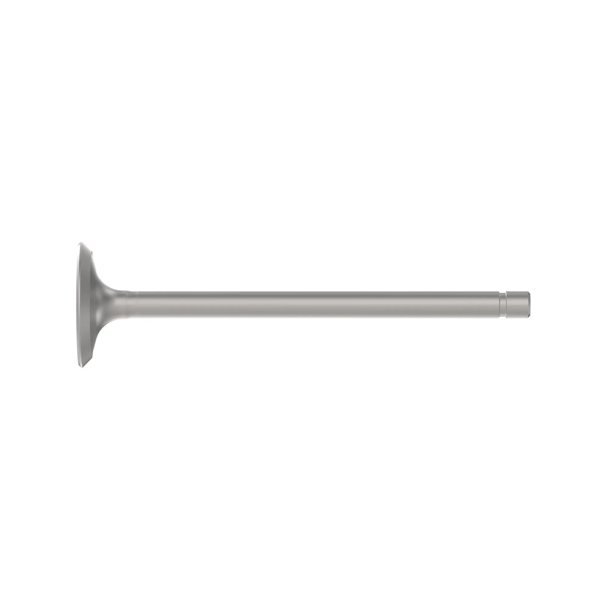 Exhaust Valve