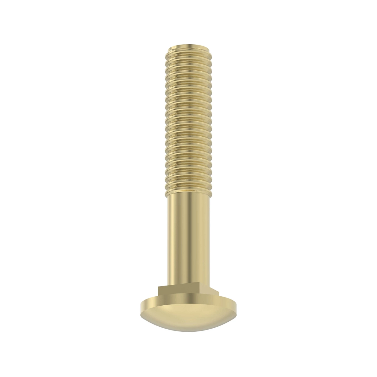 Bolt, Round Head Square Neck