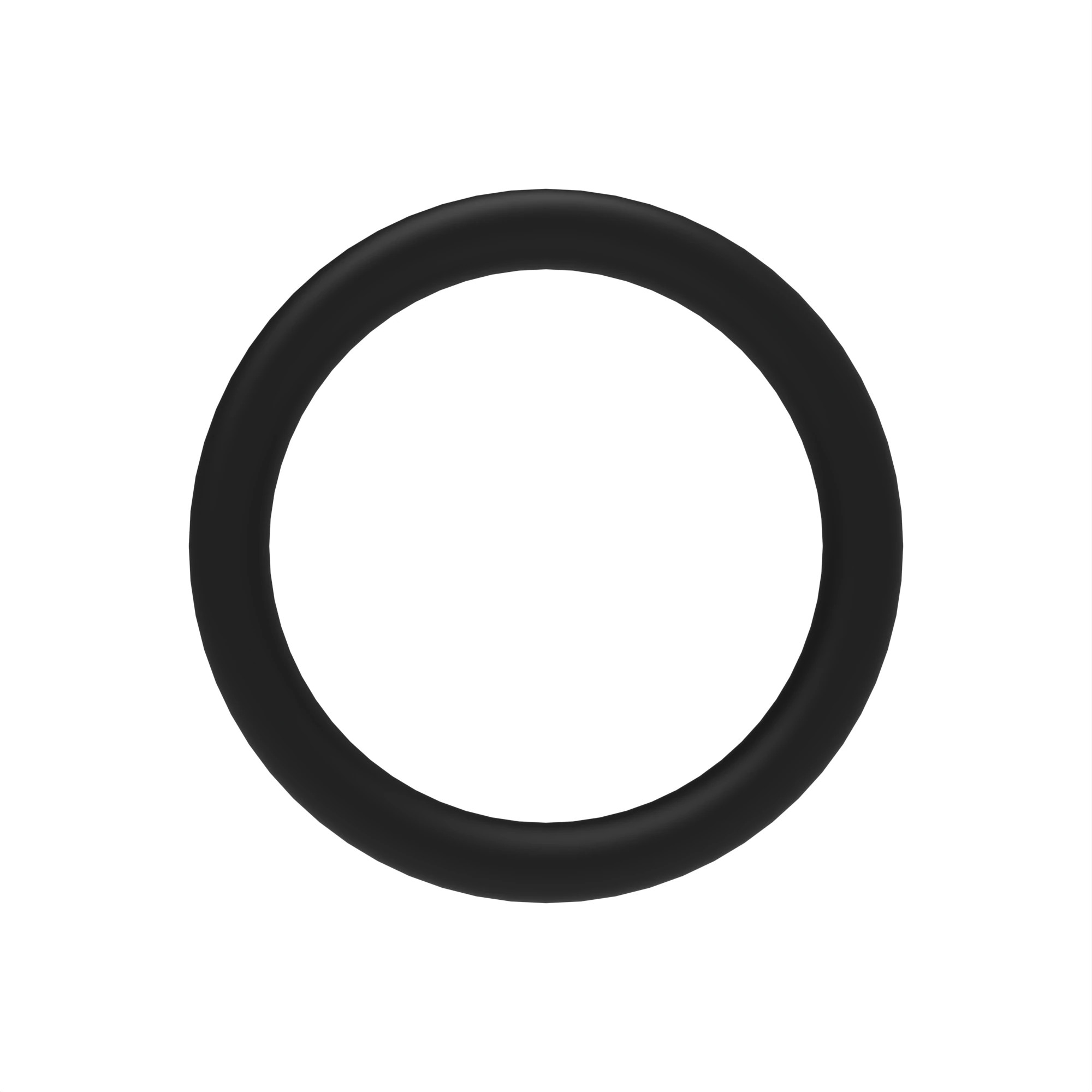O-Ring