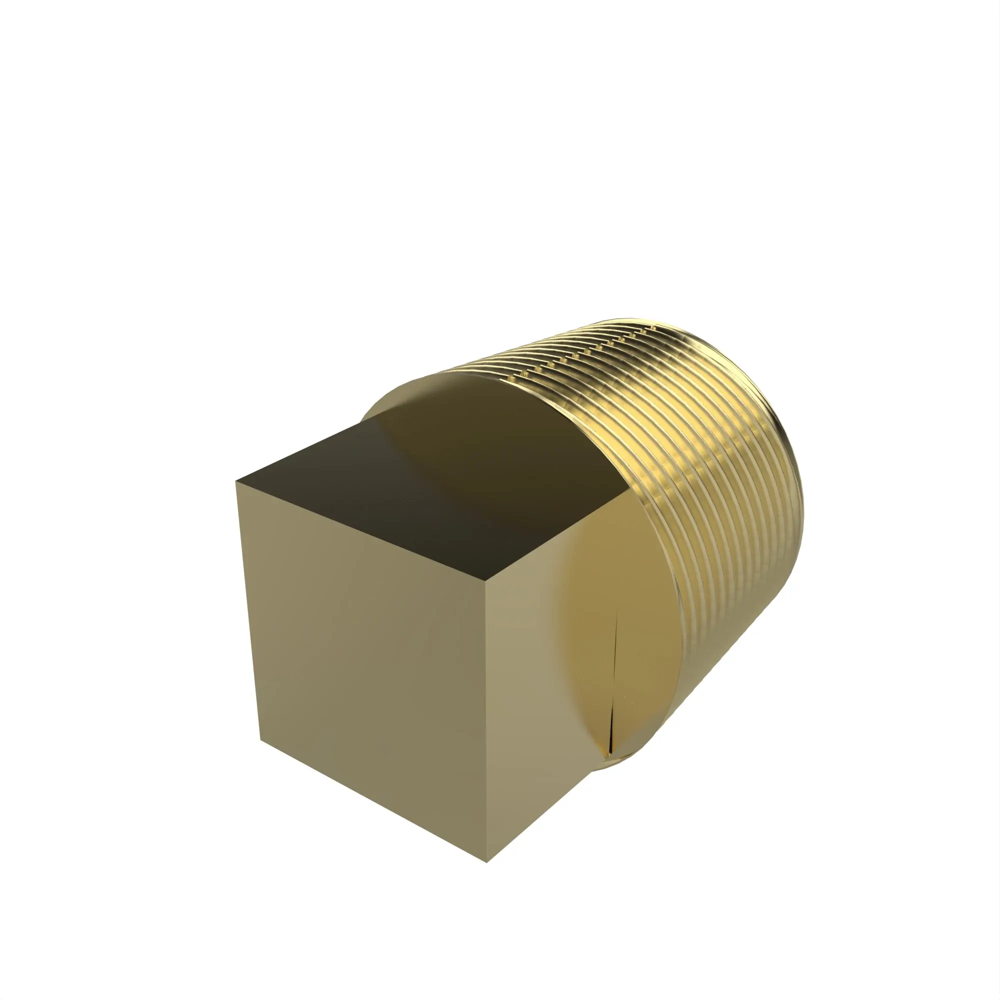 Pipe Plug