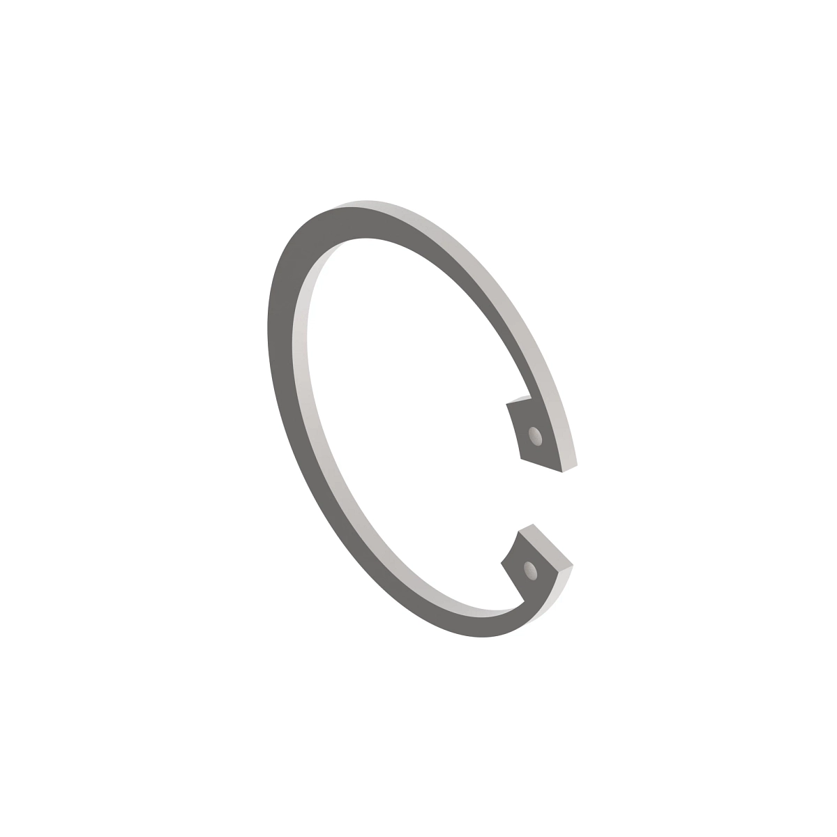 Ring, Internal Snap