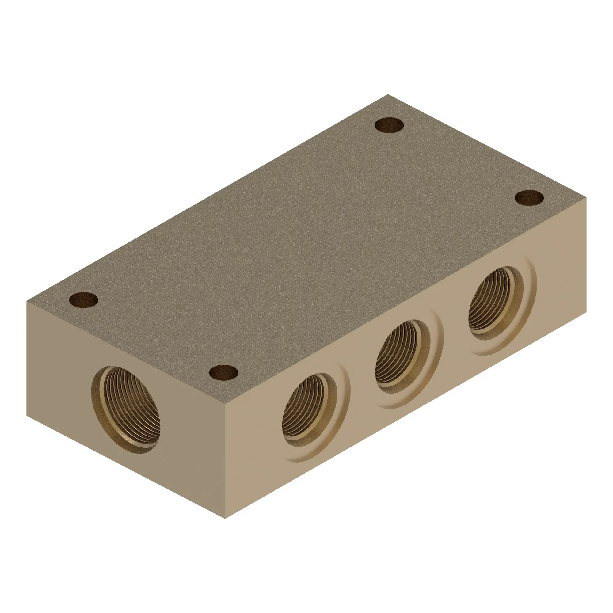 Manifold