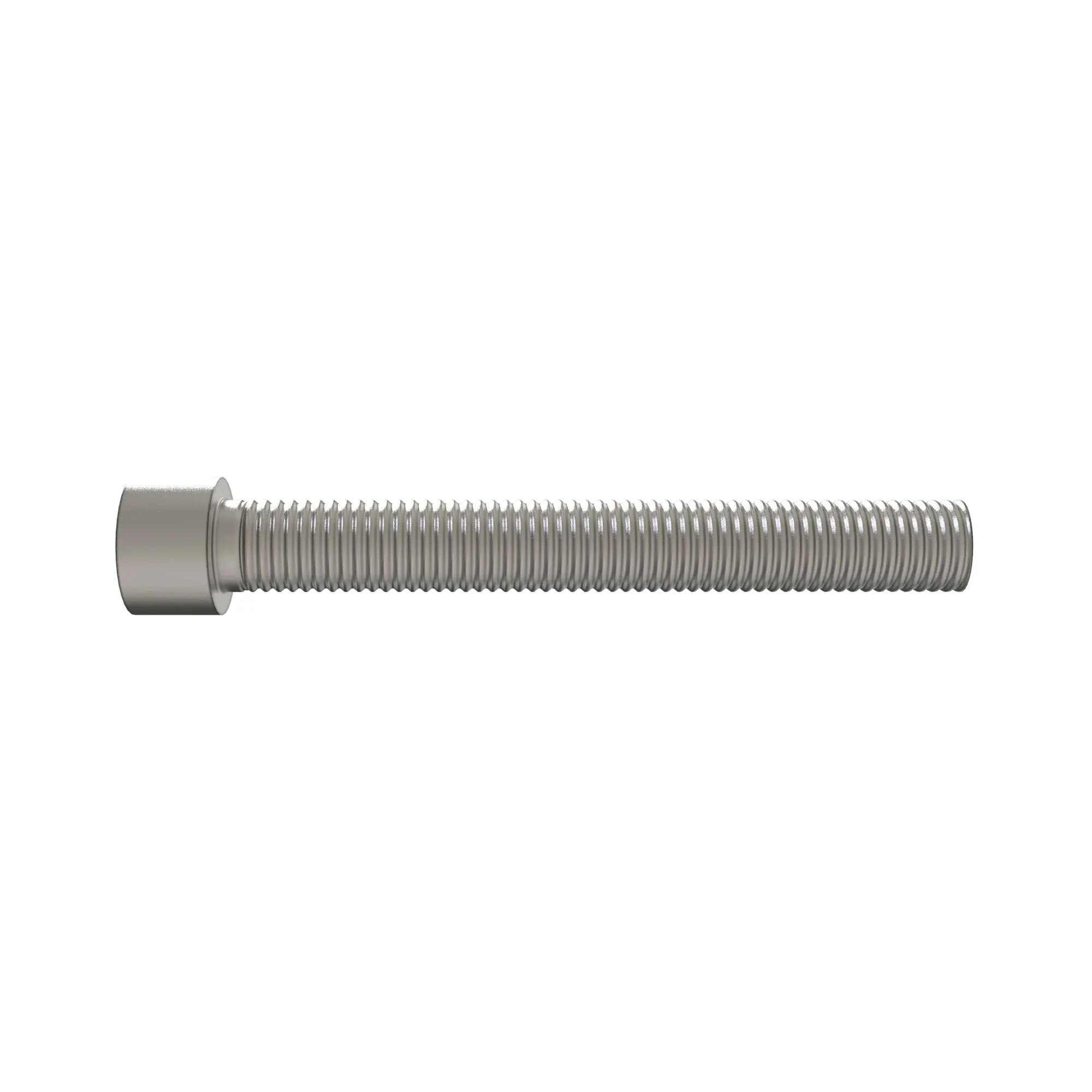 Socket Head Screw
