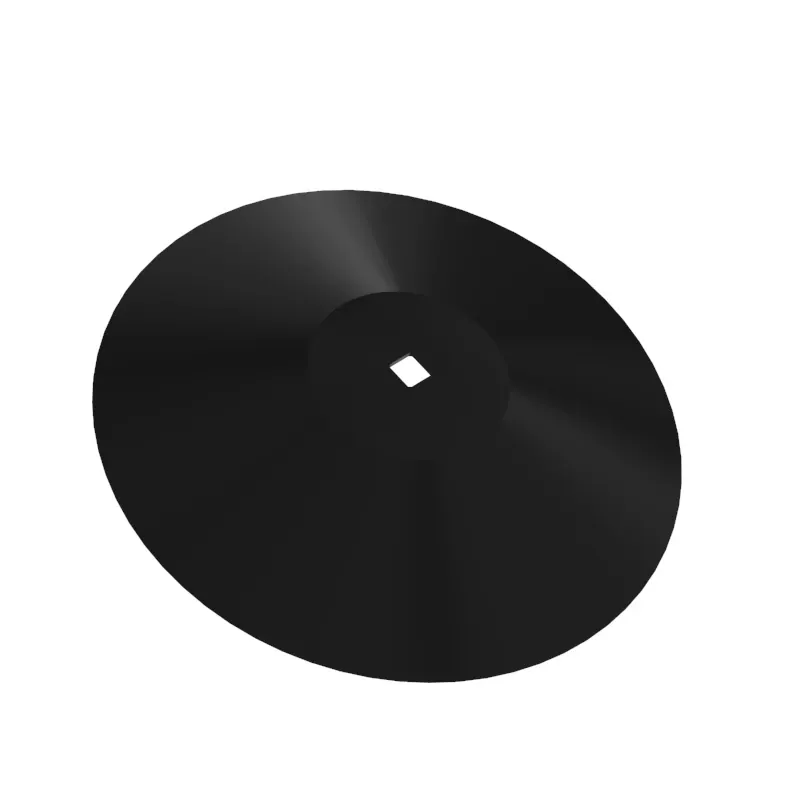 Disk