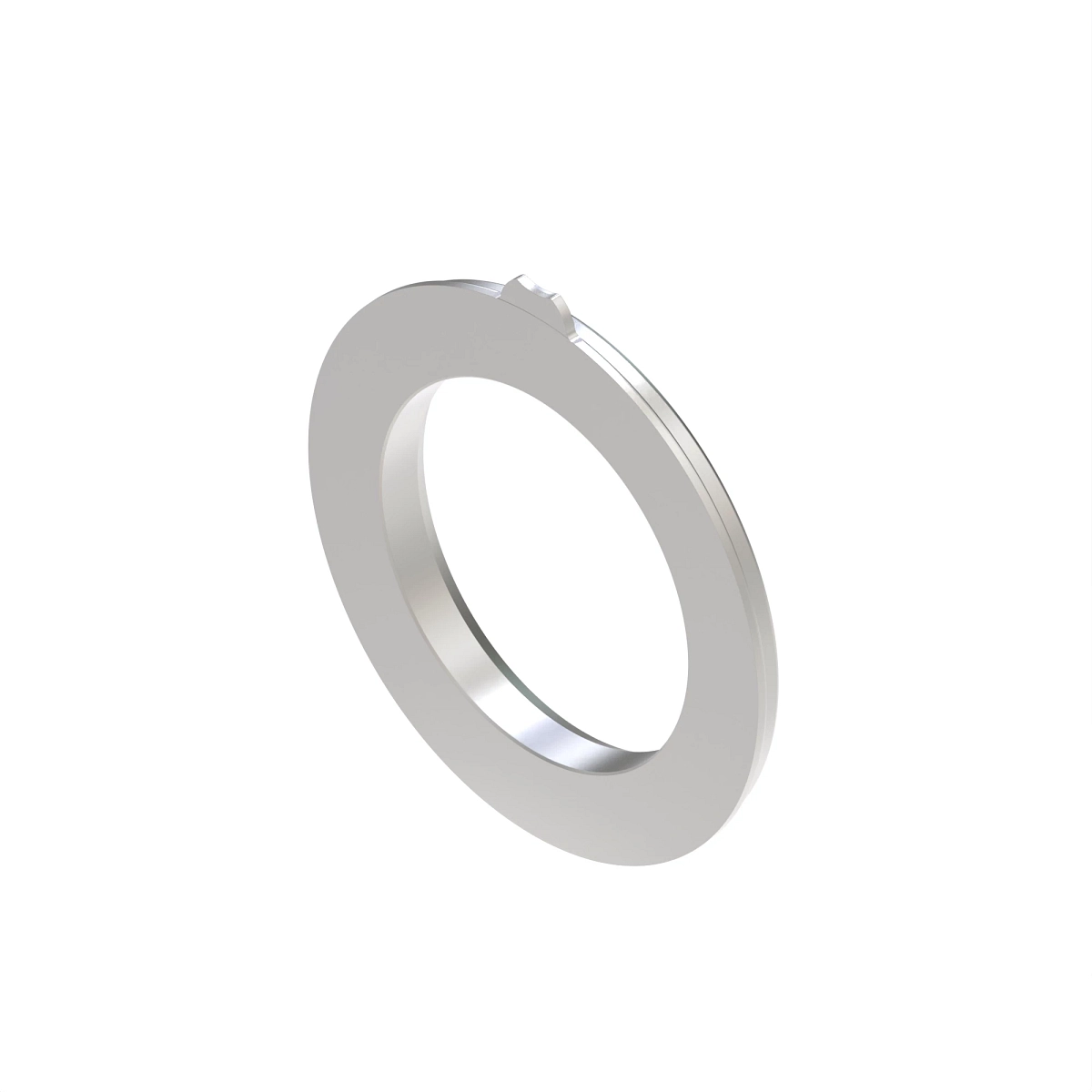 Piston, Rear Brake