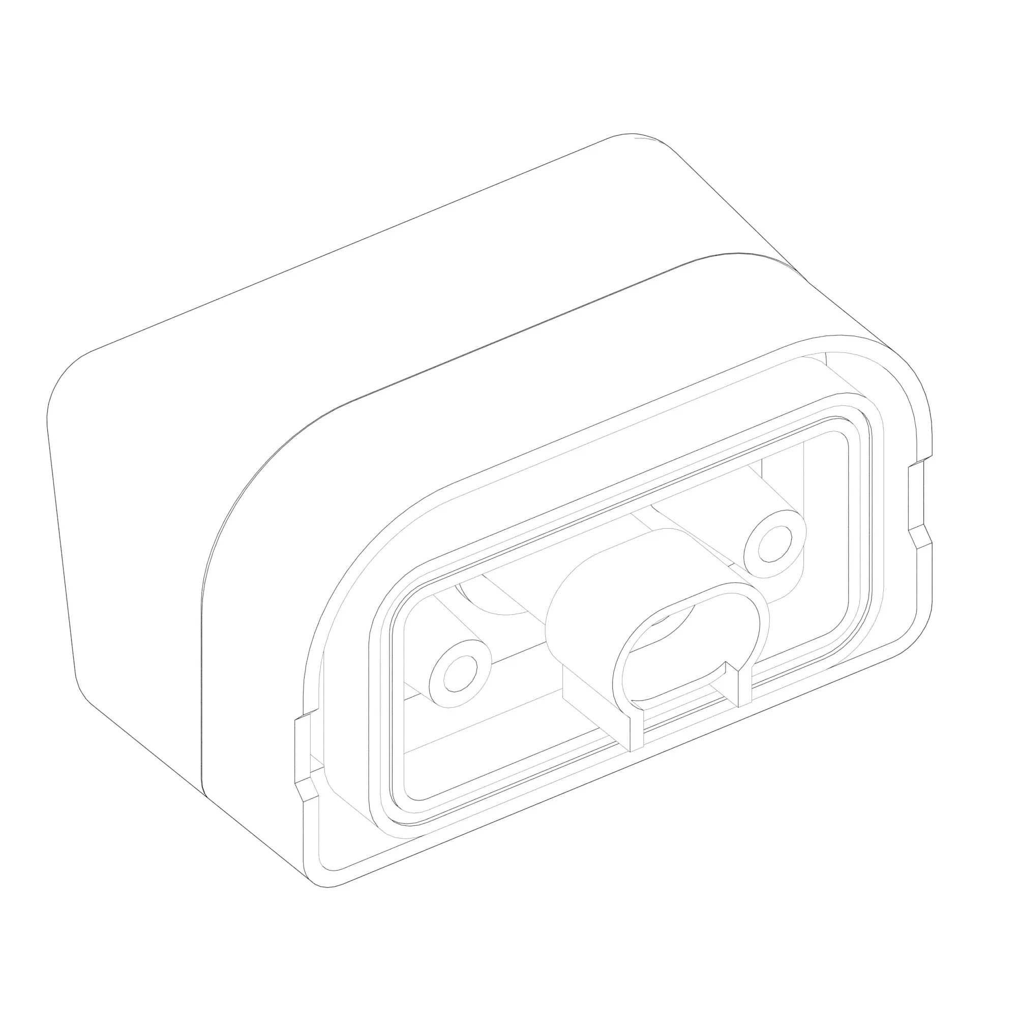 LIGHT MODULE