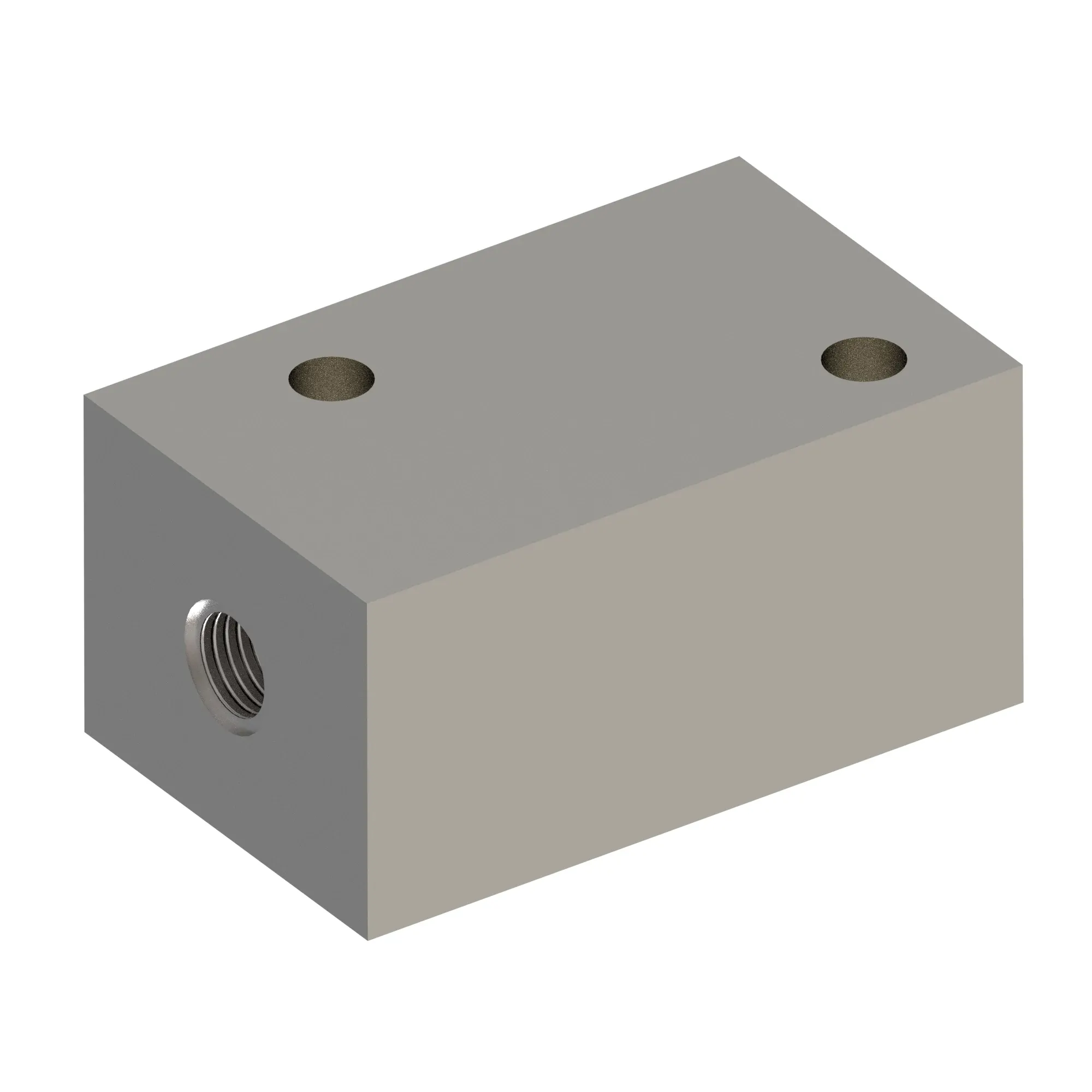 Check Valve