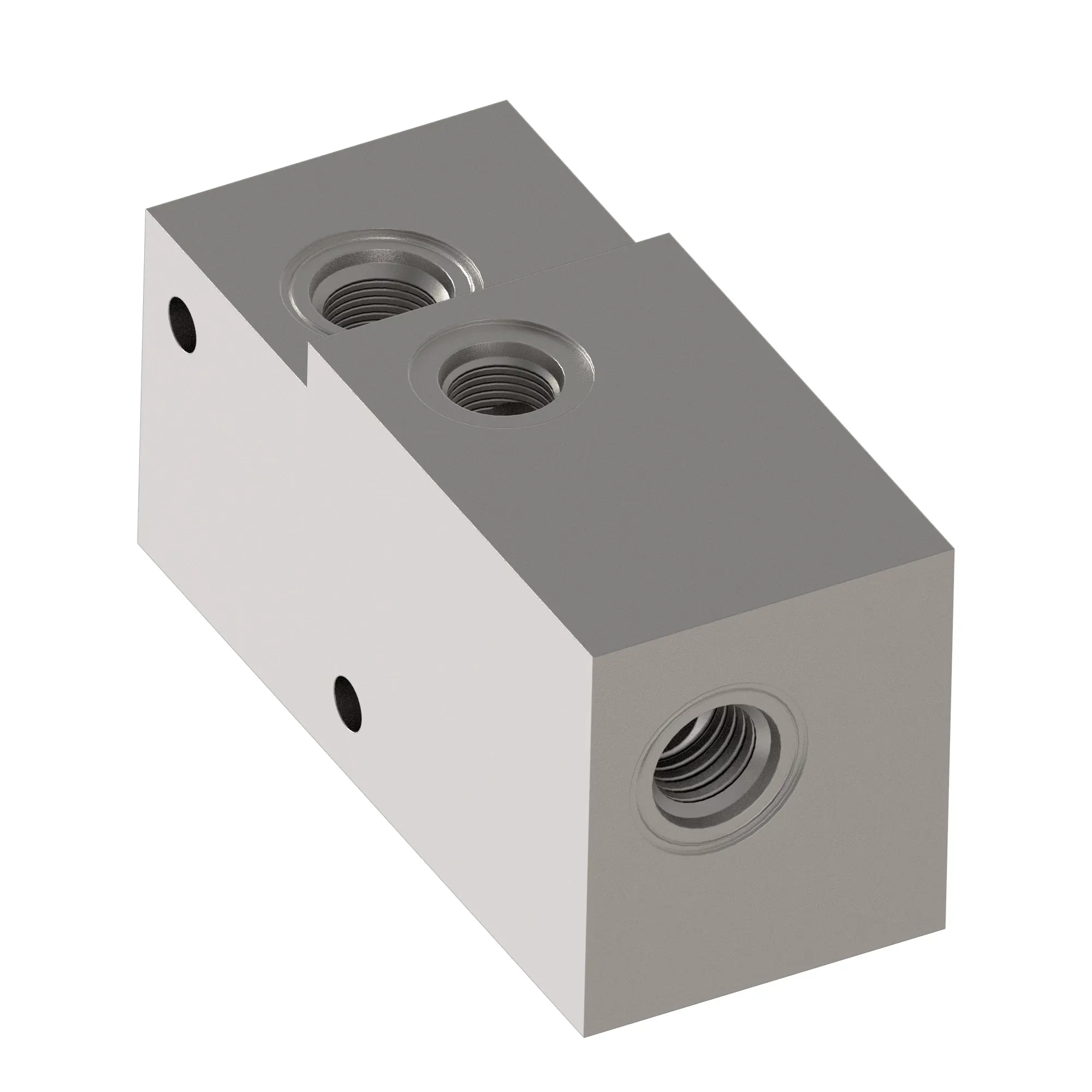 Manifold