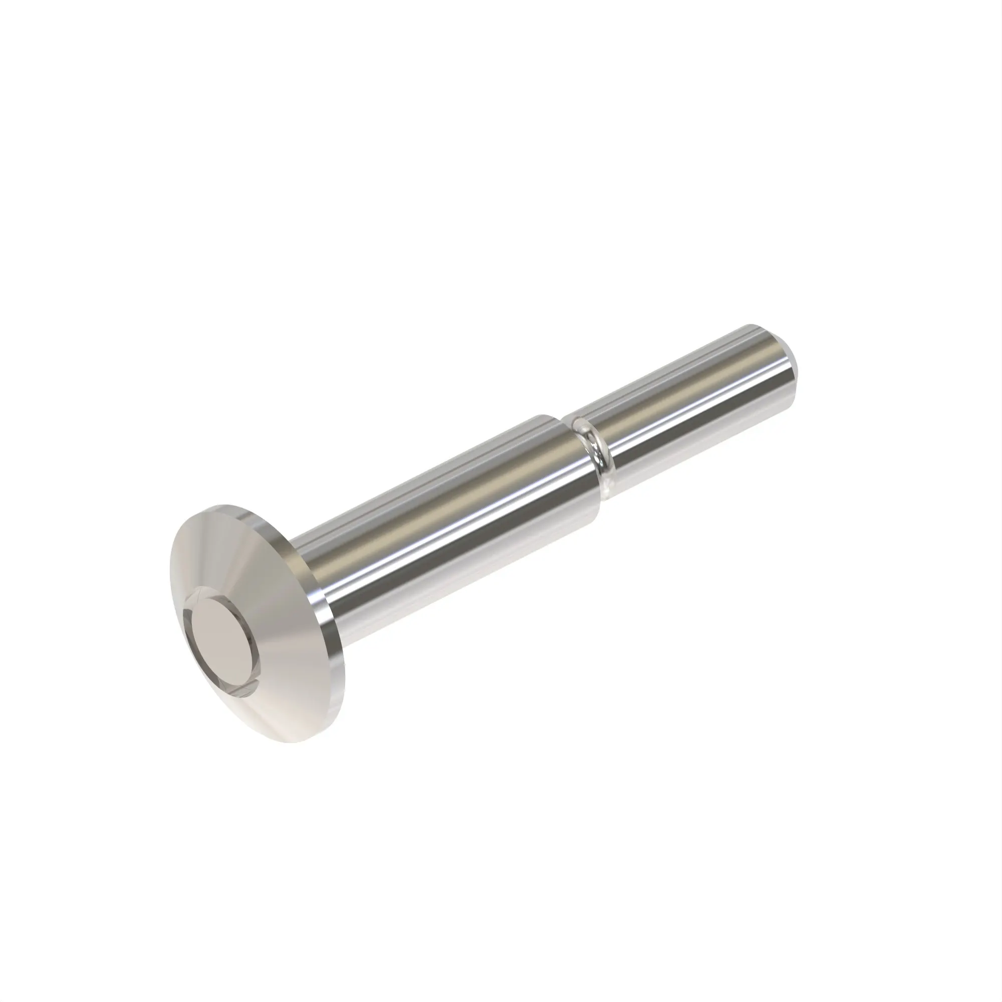 RIVET, PROTRUDING HEAD