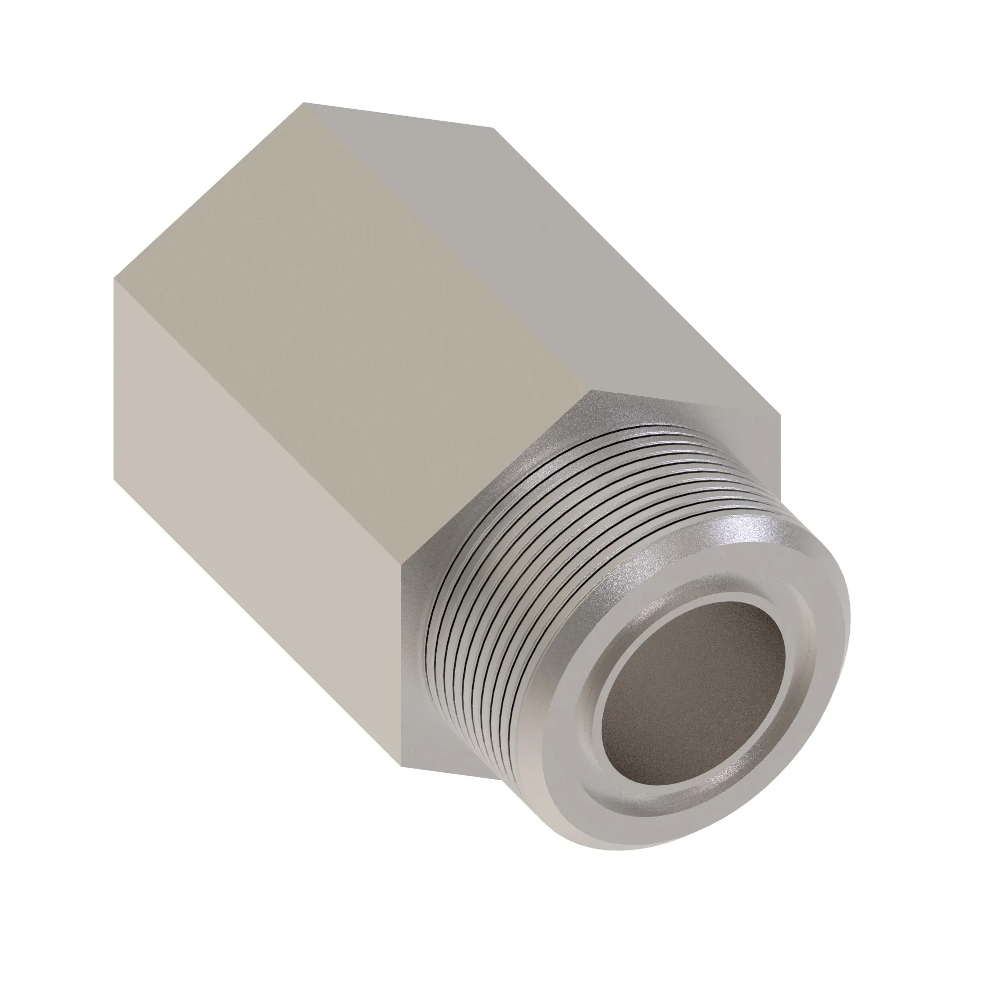 Check Valve