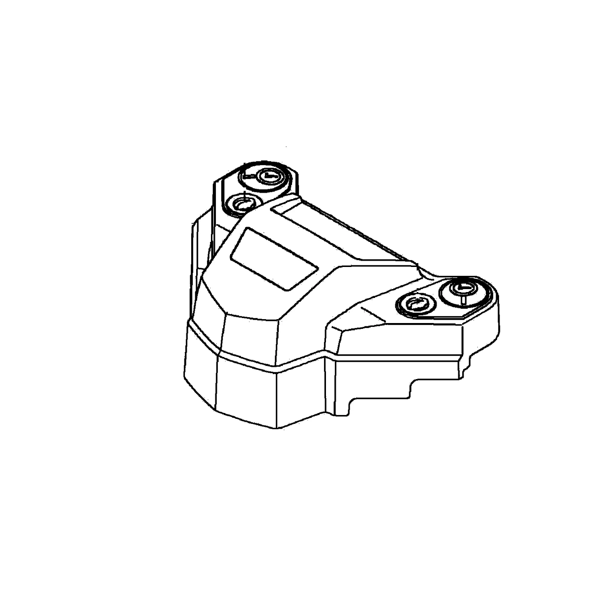 Case