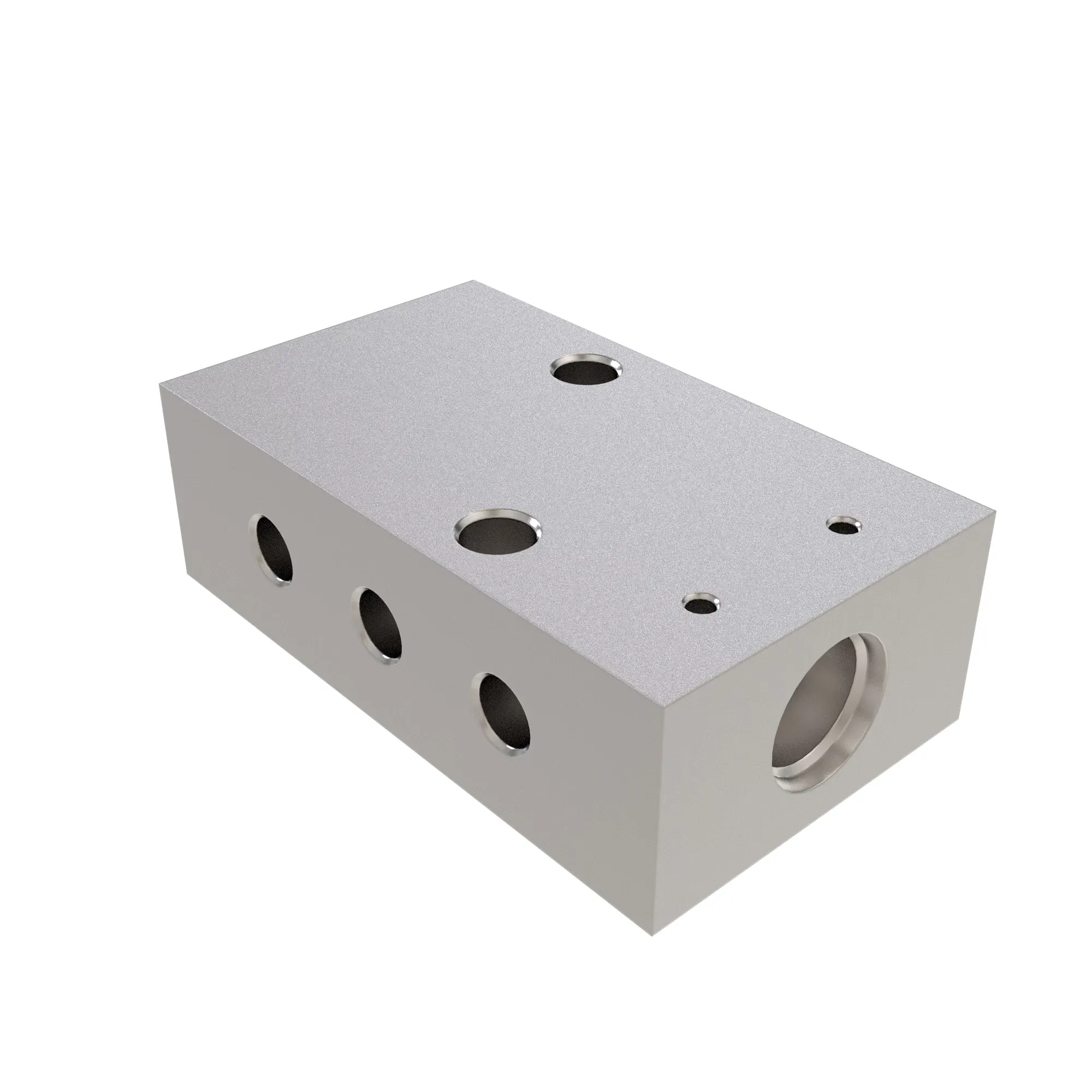 Manifold