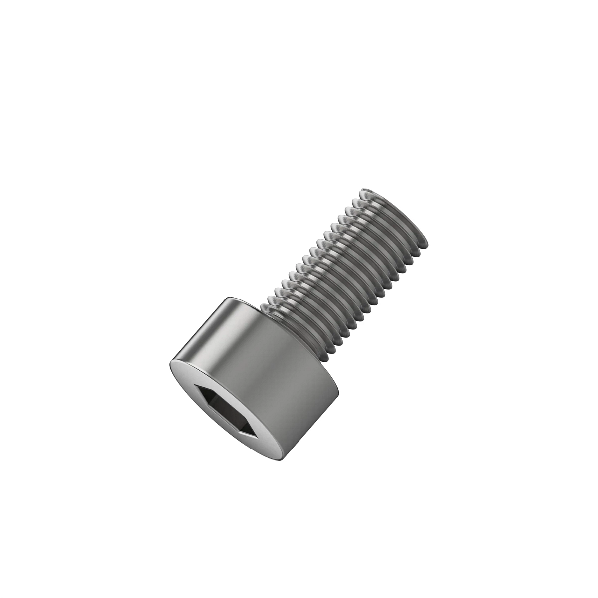 Bolt, Socket