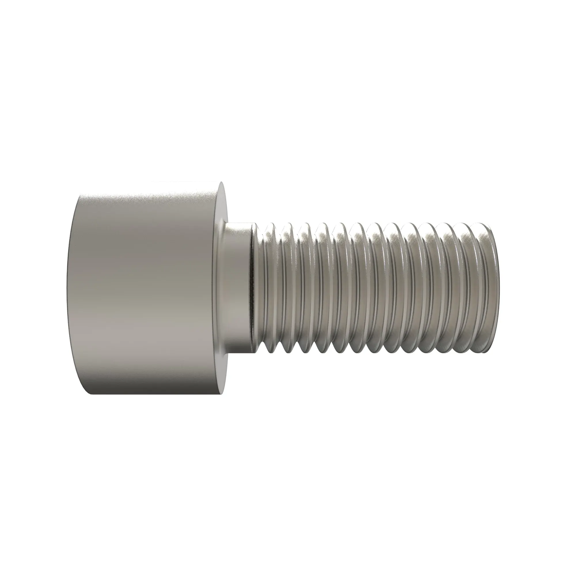 Screw