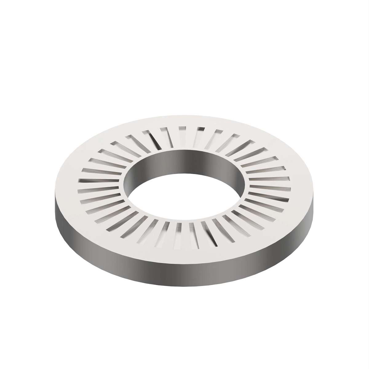 Disk Spring, Retaining Ring FEZNXC3