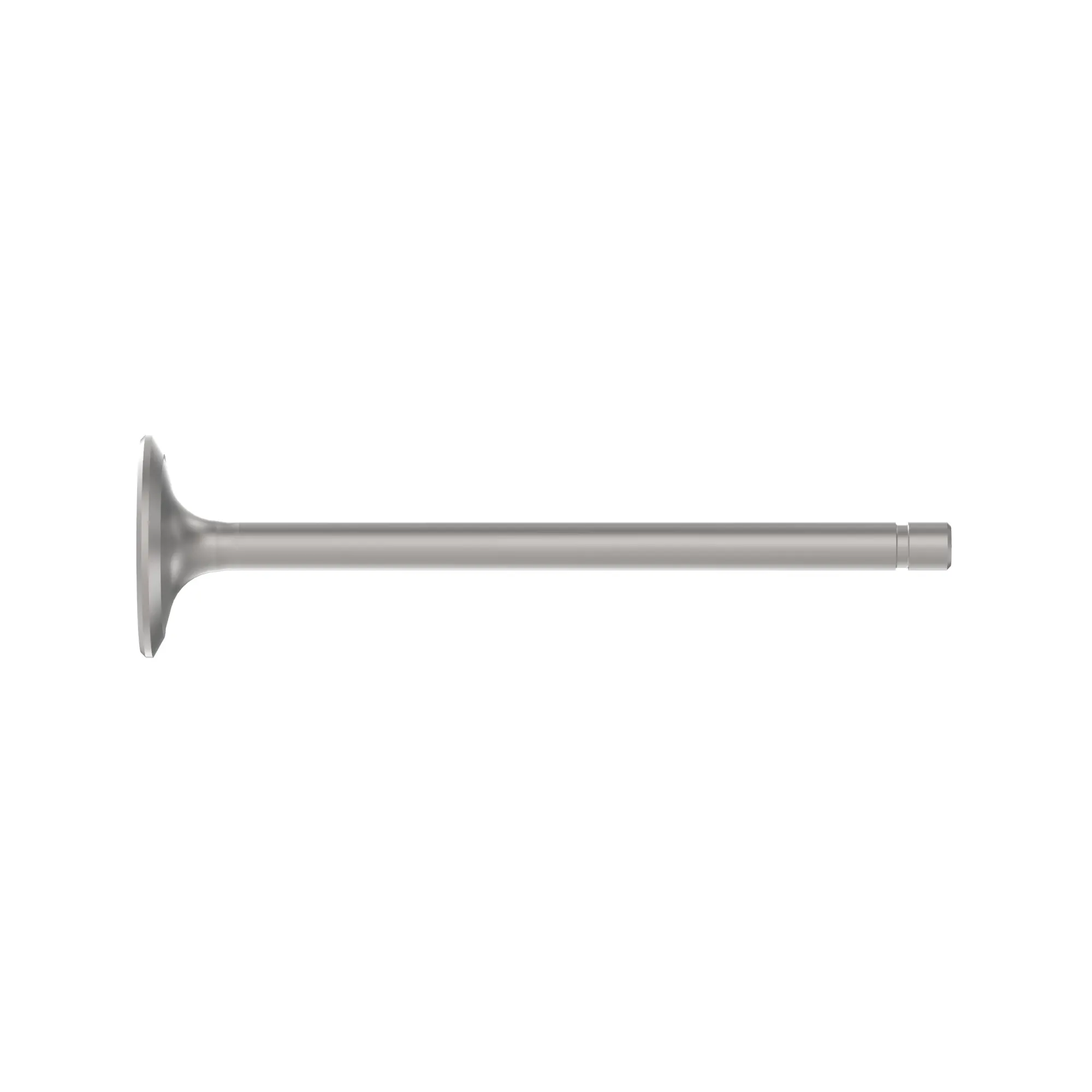 Exhaust Valve