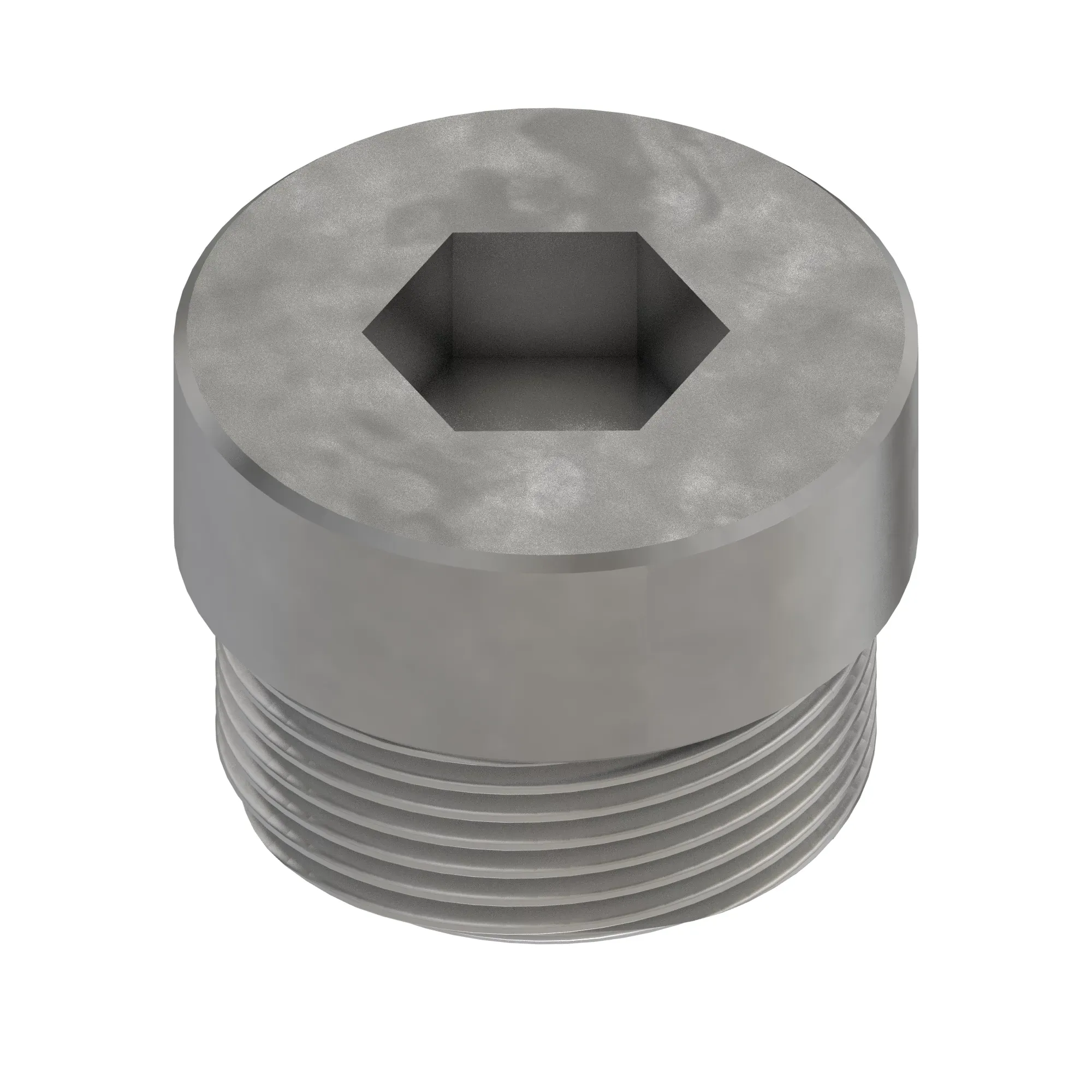 Check Valve