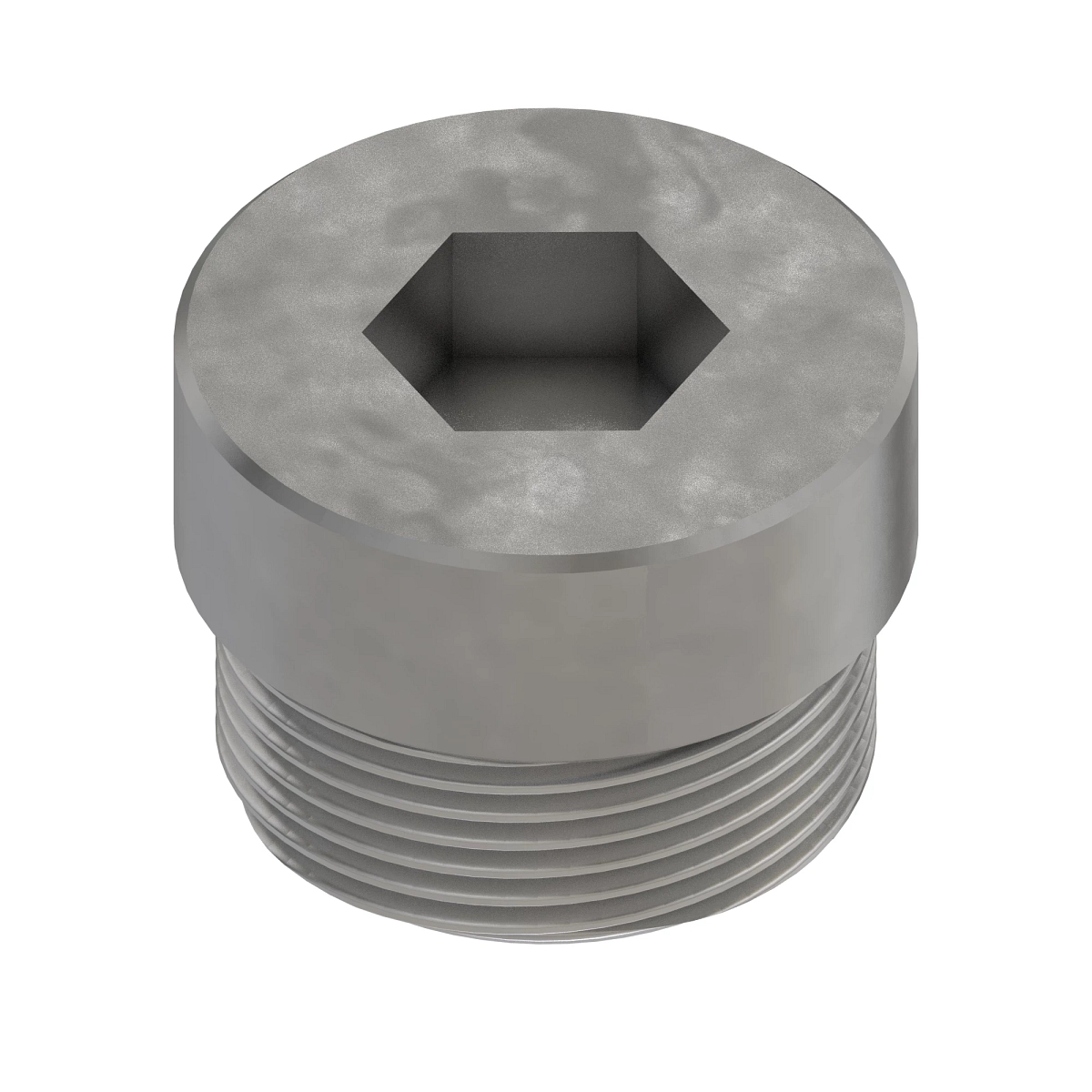 Check Valve