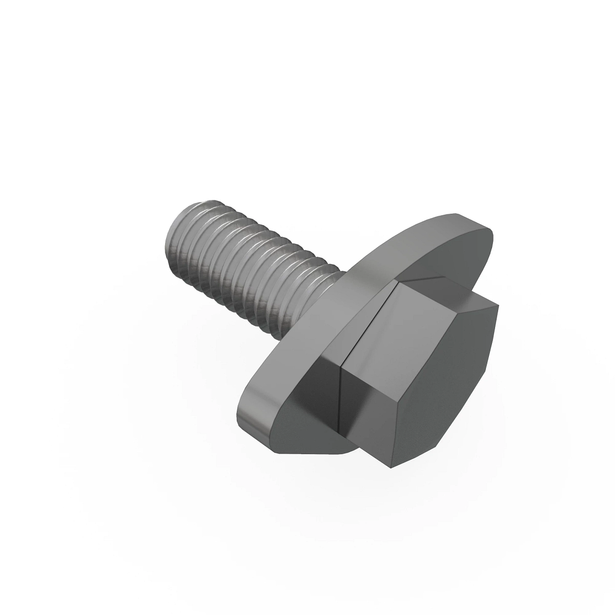 Screw With Washer