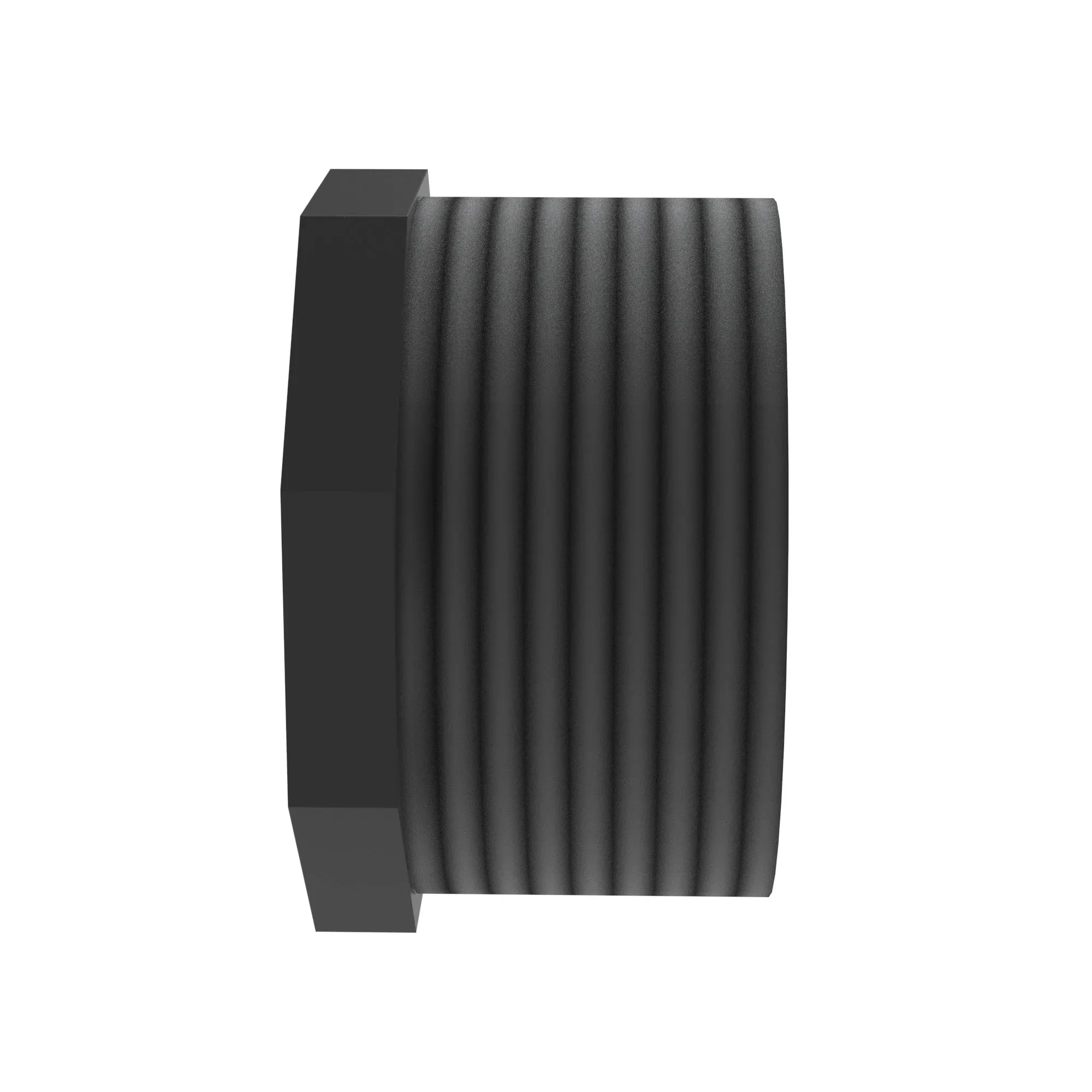 Pipe Plug