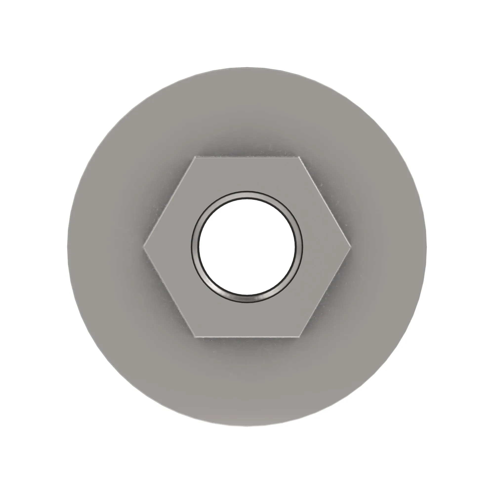 NUT FLANGE 5/16 INCH