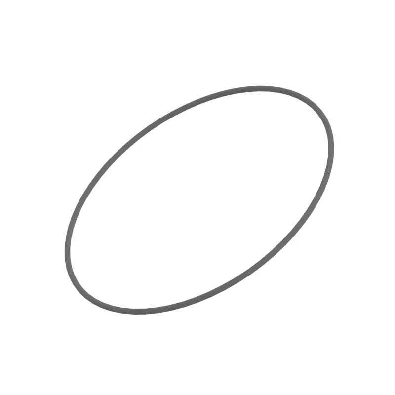 O-Ring