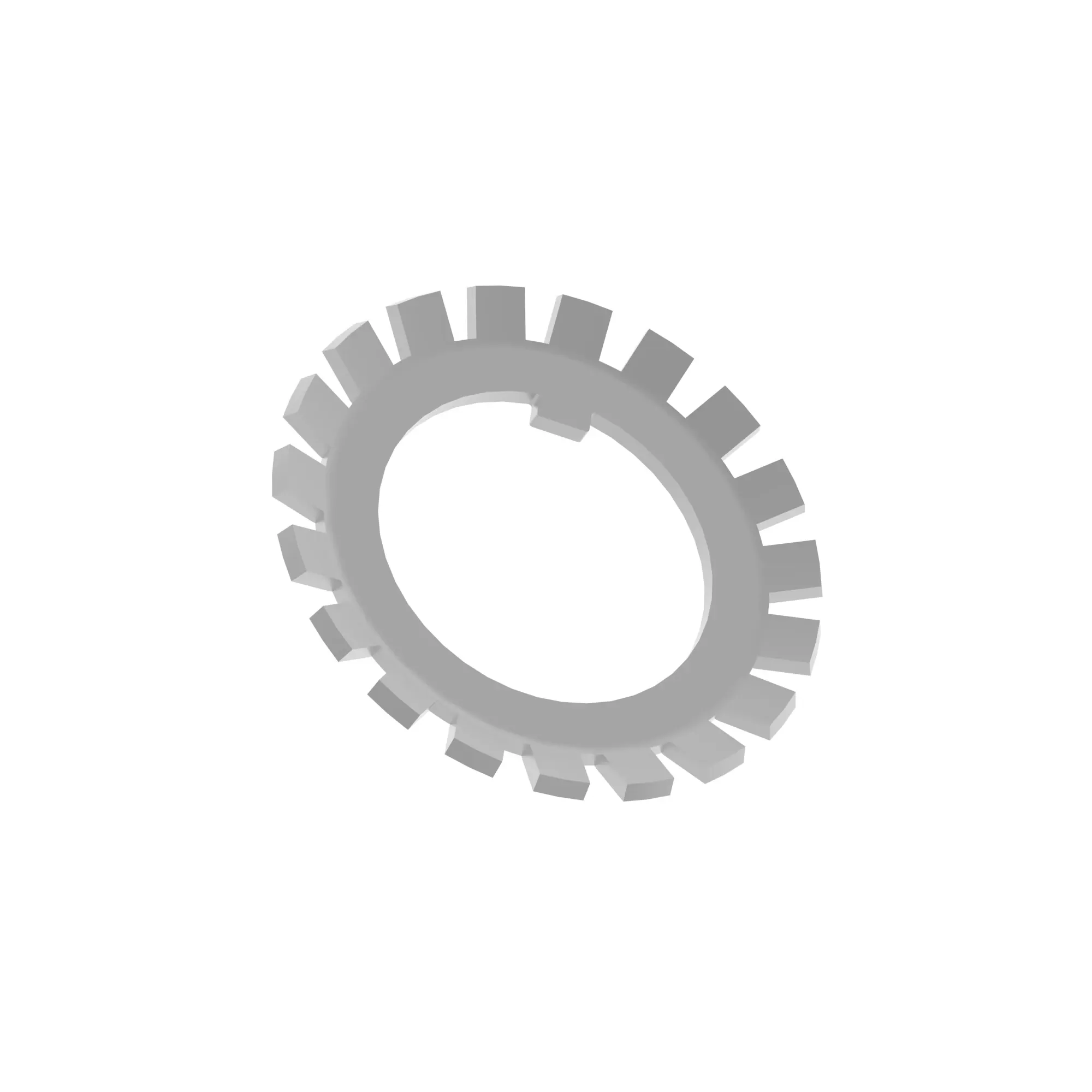 Lock Washer